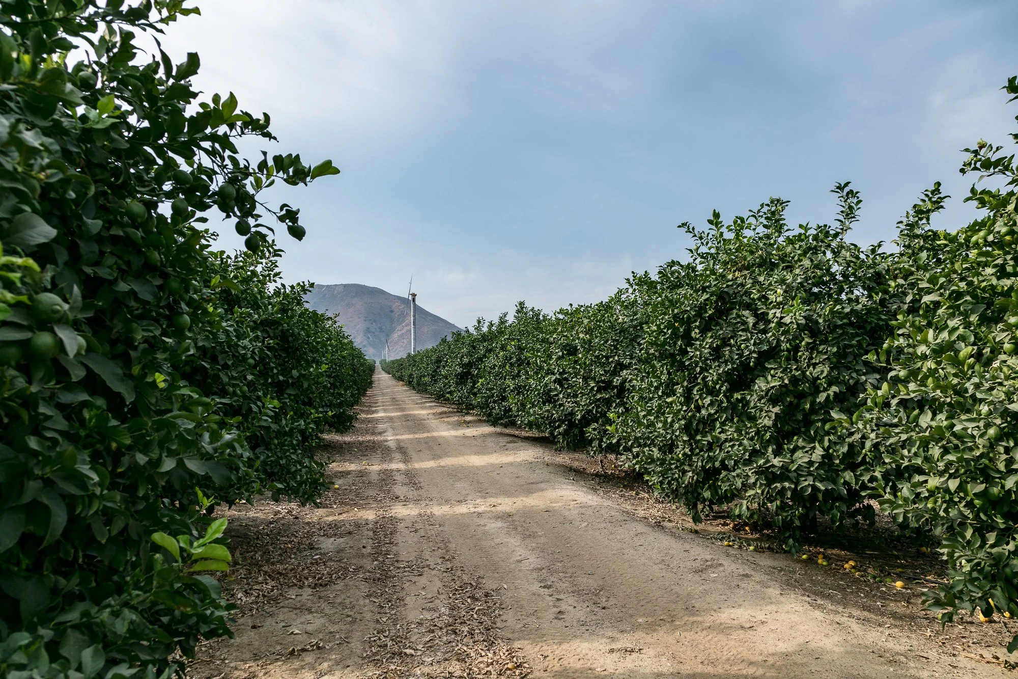 Rancho Temescal - Ranch Roads - Piru -2.jpg