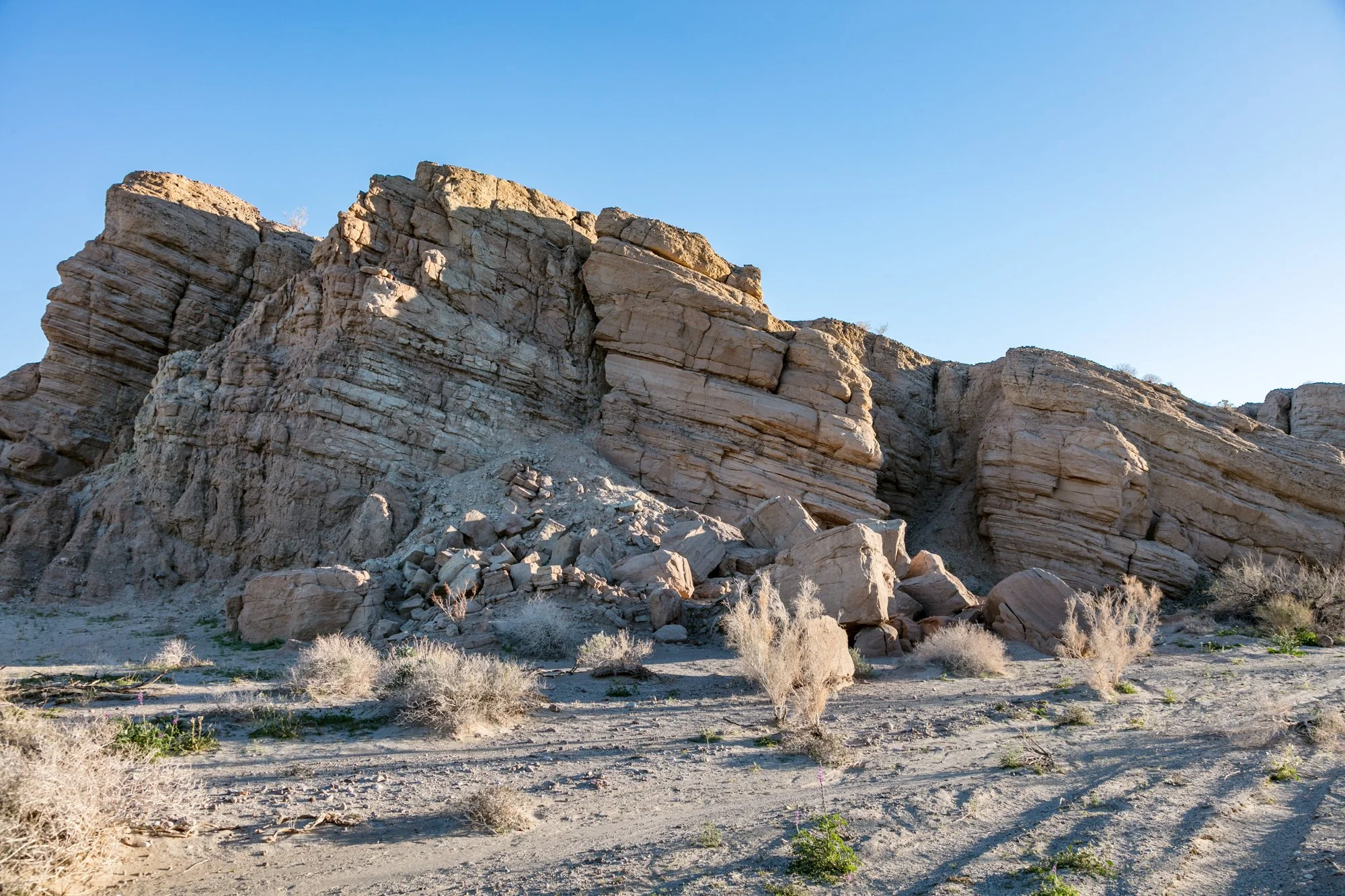 Ntr- Anza Borrego - Badlands - 0219 -74.jpg