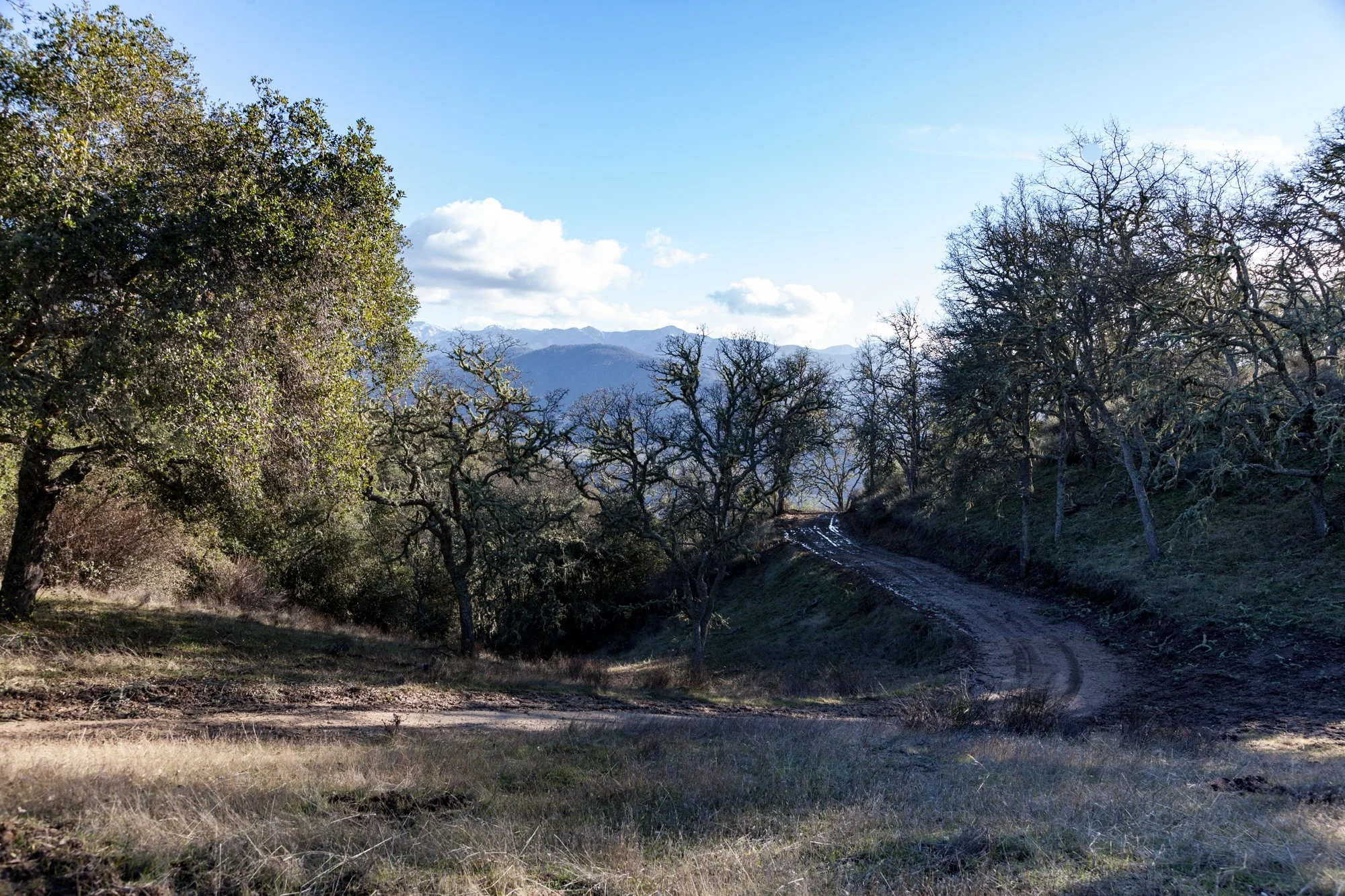 Rnch- Galante Ranch & Vineyards - Carmel Valley - 28.jpg