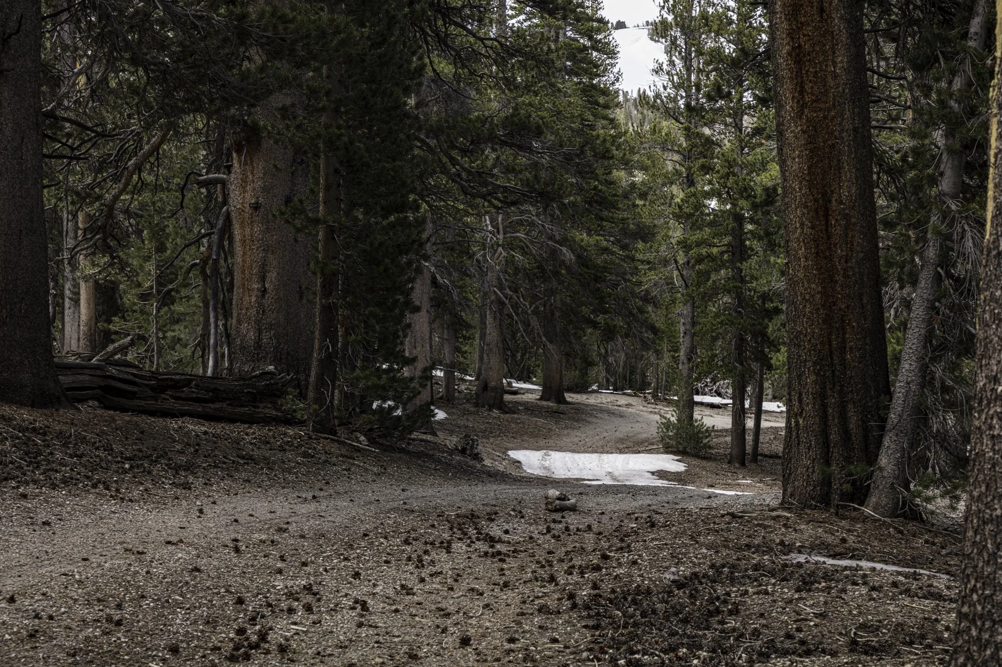 June Mtn - Narrow Maint Rd - June Lake- -11.jpg