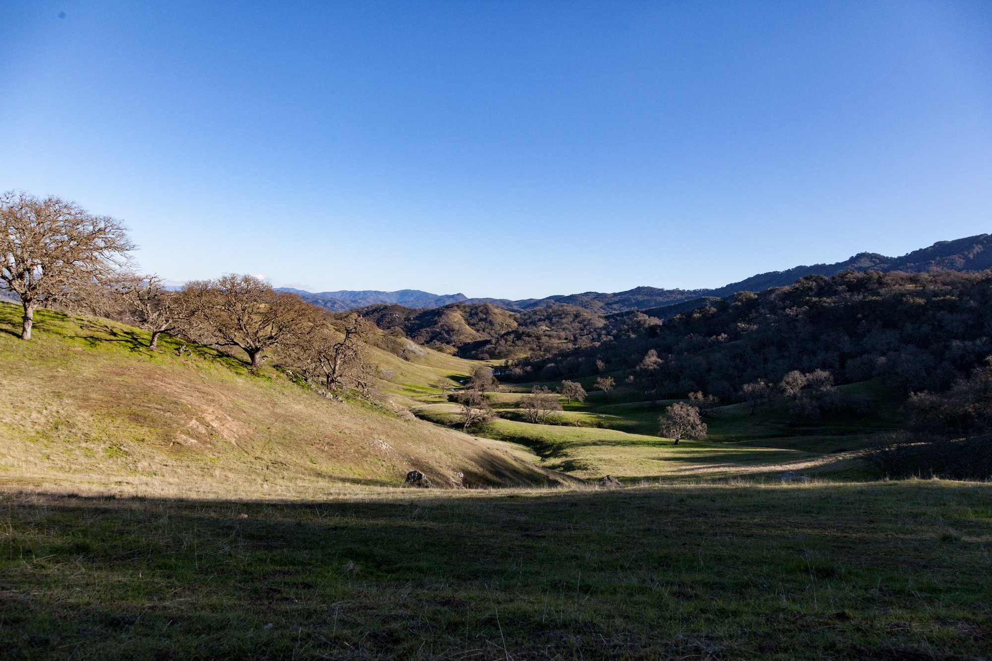 Rnch- Santa Margarita Ranch - 87.jpg