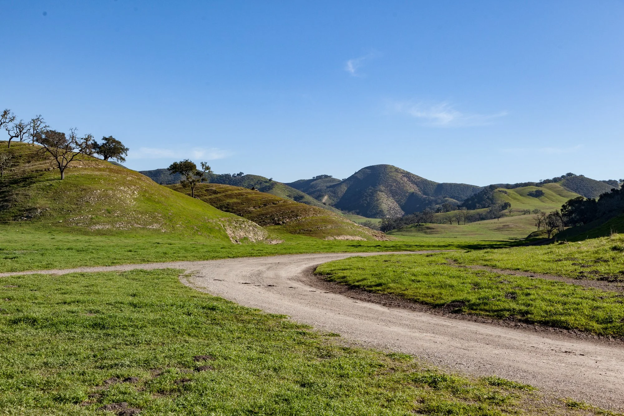 Rnch- Porter Ranch - Santa Maria - 16.jpg