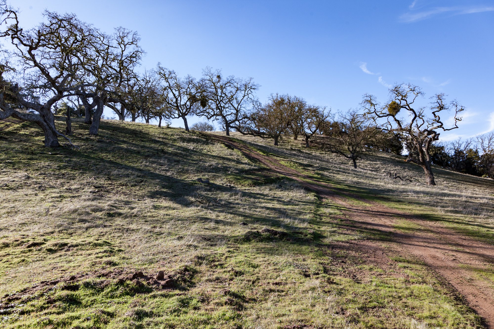 Rnch- Galante Ranch & Vineyards - Carmel Valley - 15.jpg
