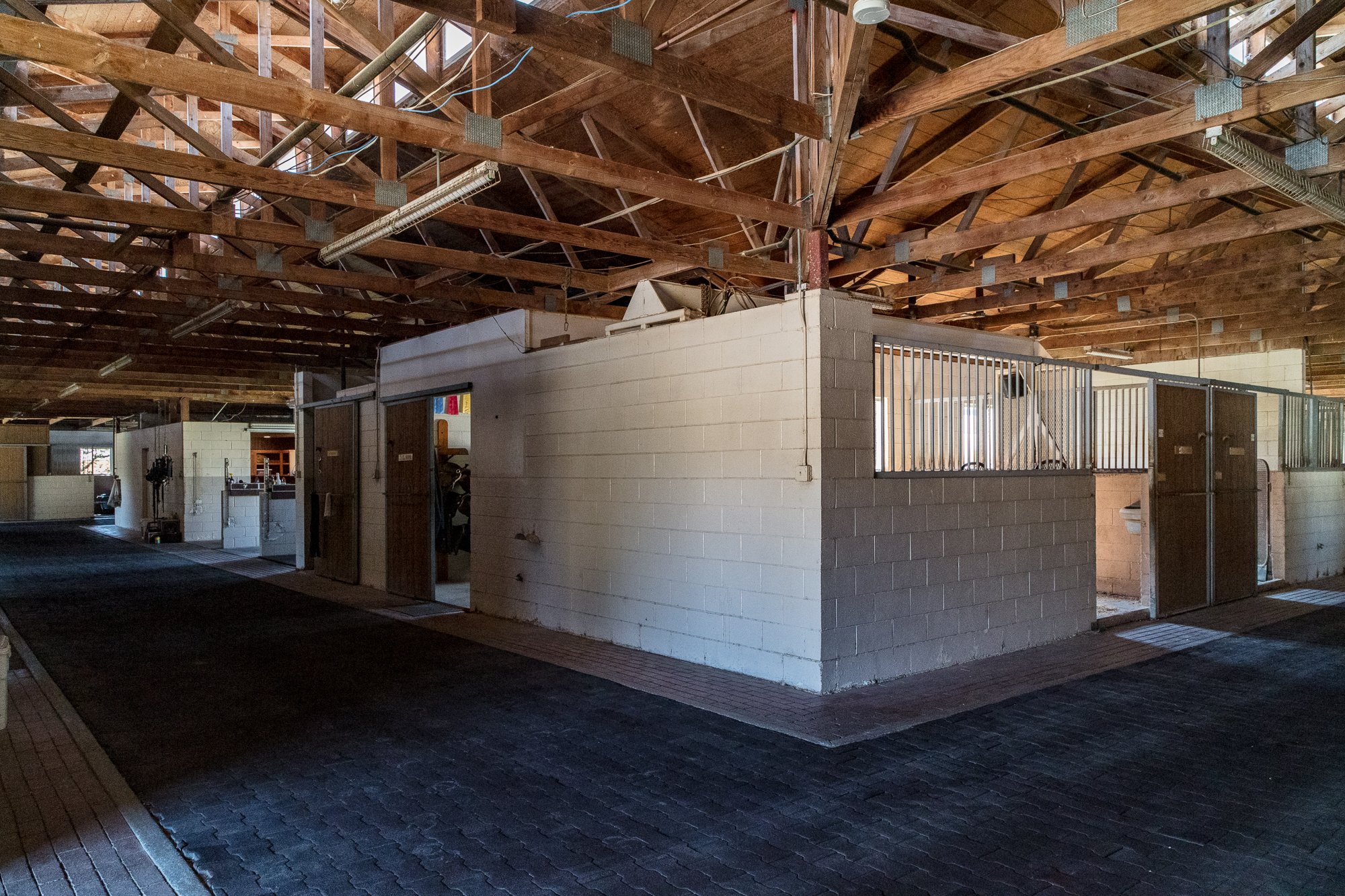 Ventura Farms - Arabian Center -2.jpg