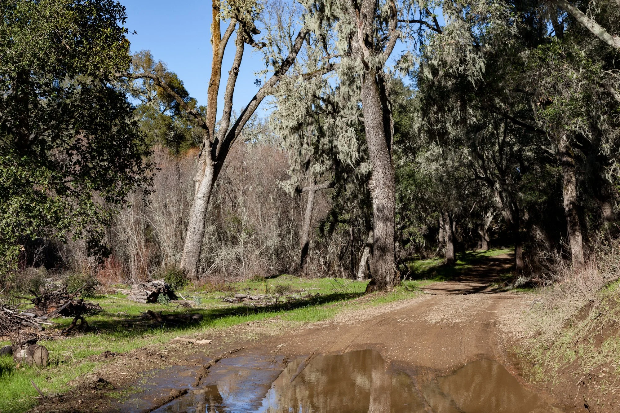 Rnch- Santa Margarita Ranch - 72.jpg