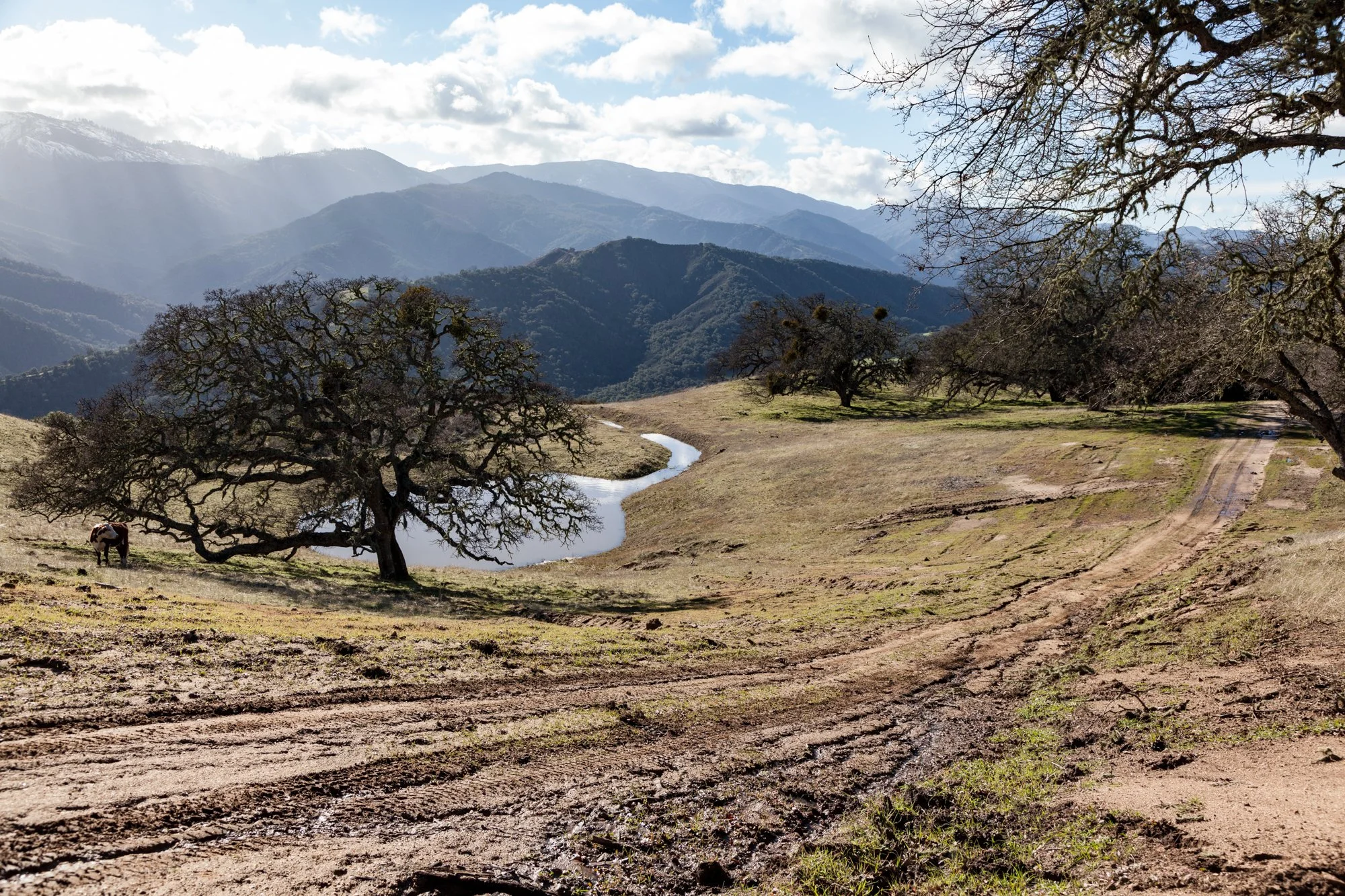 Rnch- Galante Ranch & Vineyards - Carmel Valley - 6.jpg