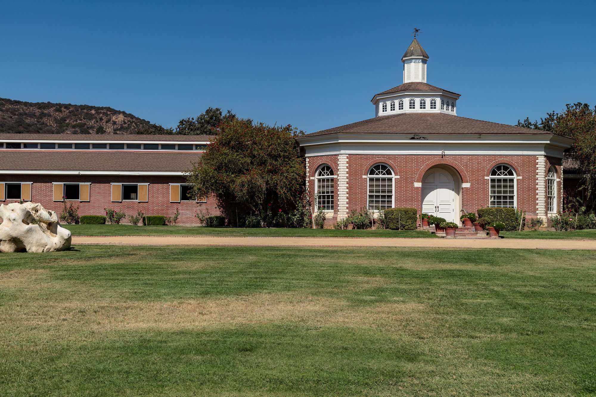 Ventura Farms - Arabian Center -15.jpg