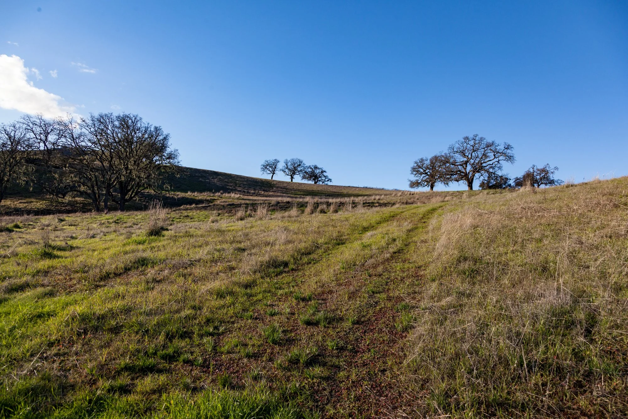 Rnch- Galante Ranch & Vineyards - Carmel Valley - 64.jpg