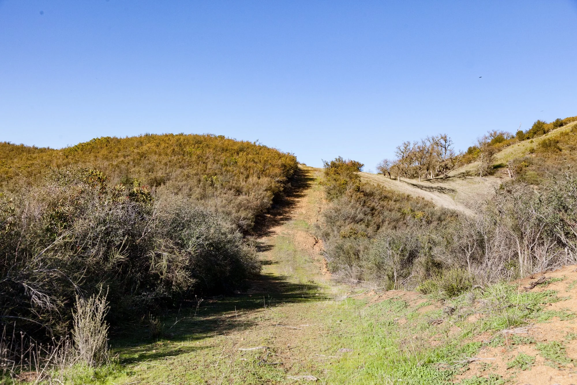 Rnch- Santa Margarita Ranch - 84.jpg