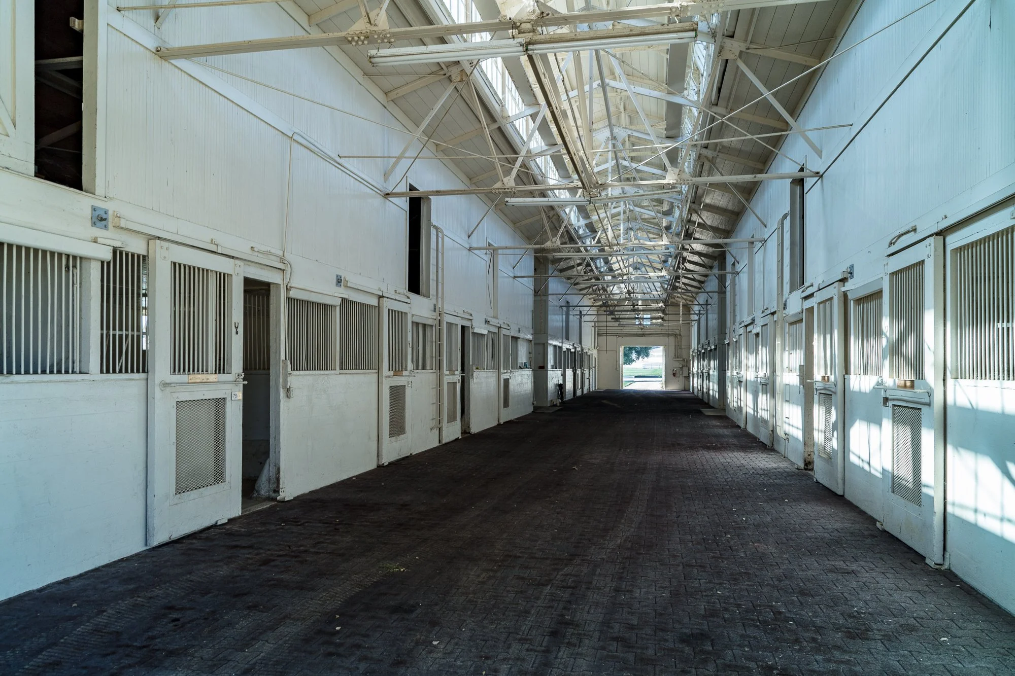 Ventura Farms - Arabian Center -20.jpg