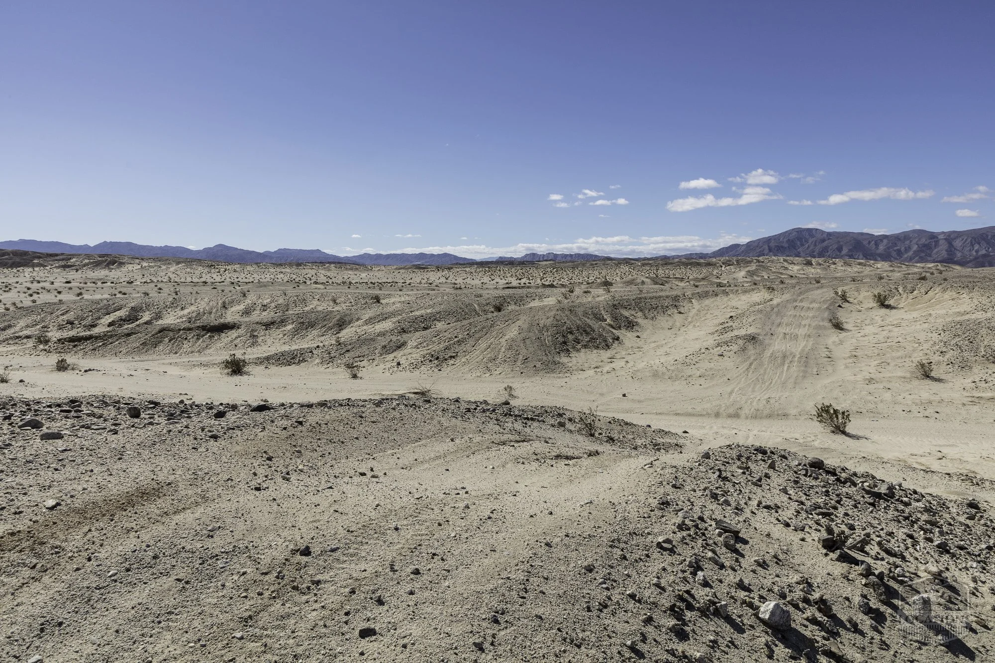 Ocotillo Wells SVRA - County Line Rd @ Dunes - 101525 -21.jpg