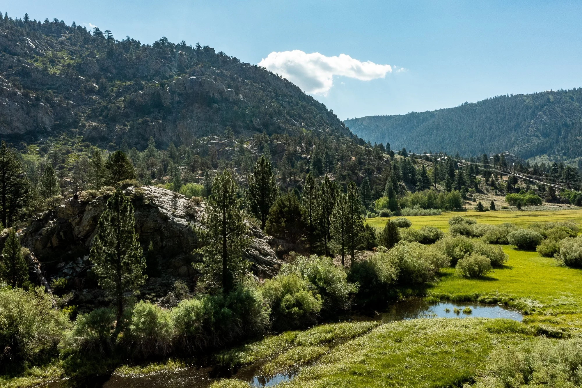 Blacks Pond - Meadow & Rock Outcrop - Drone -June -Lake- -4.jpg
