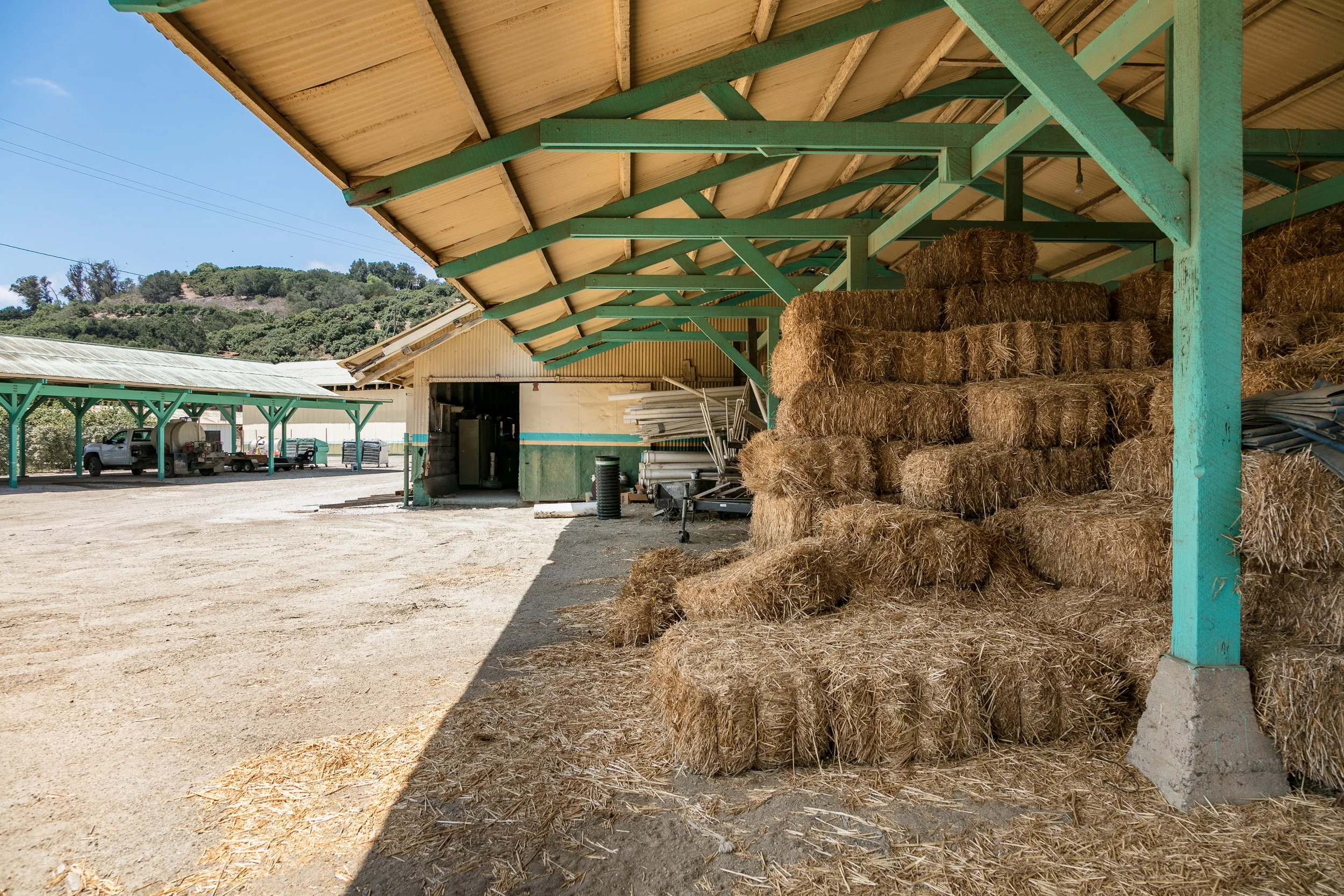 Limoneira Farms - Santa Paula -45.jpg
