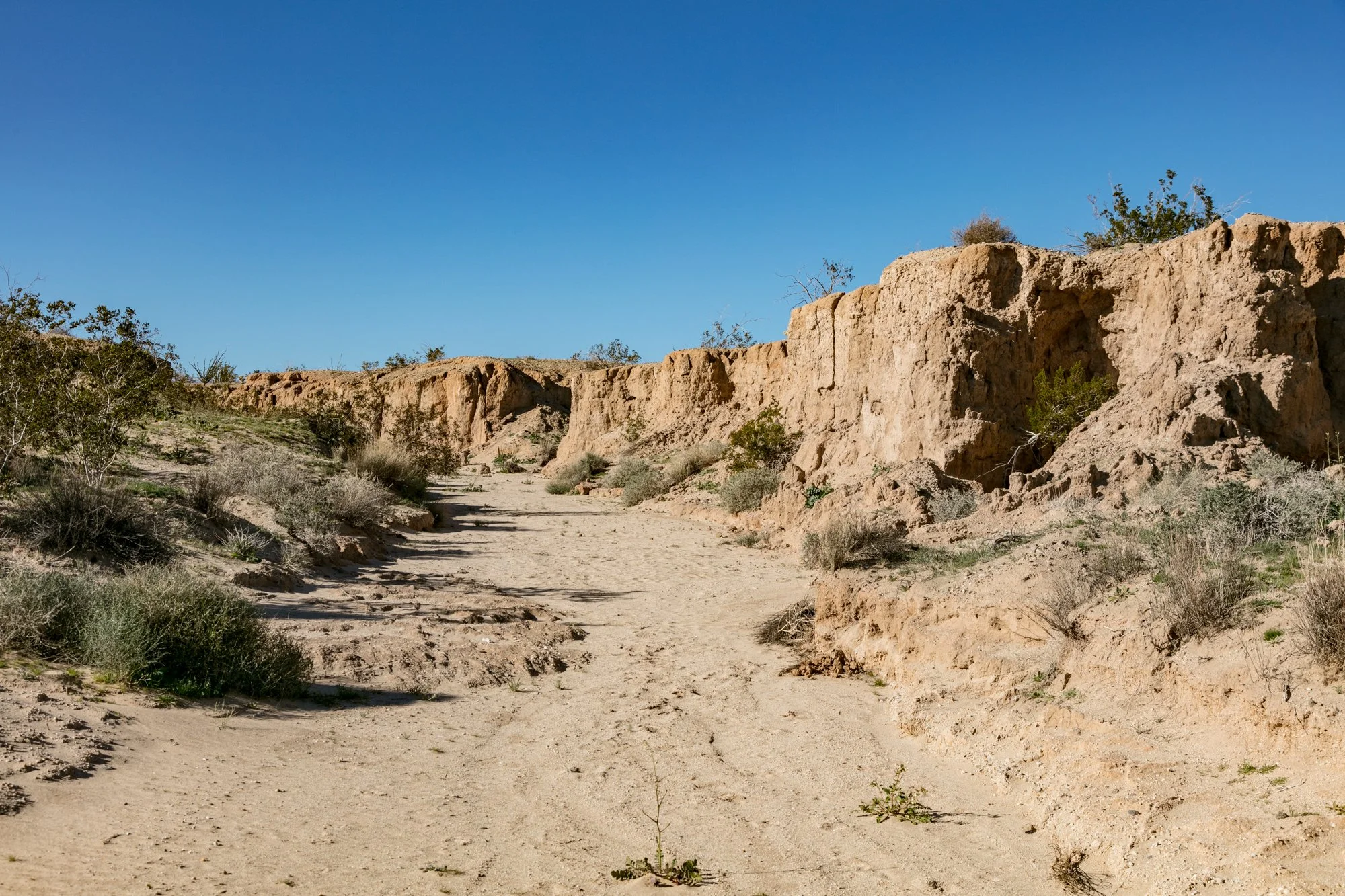 Ntr- Anza Borrego - Badlands - 0219 -4.jpg