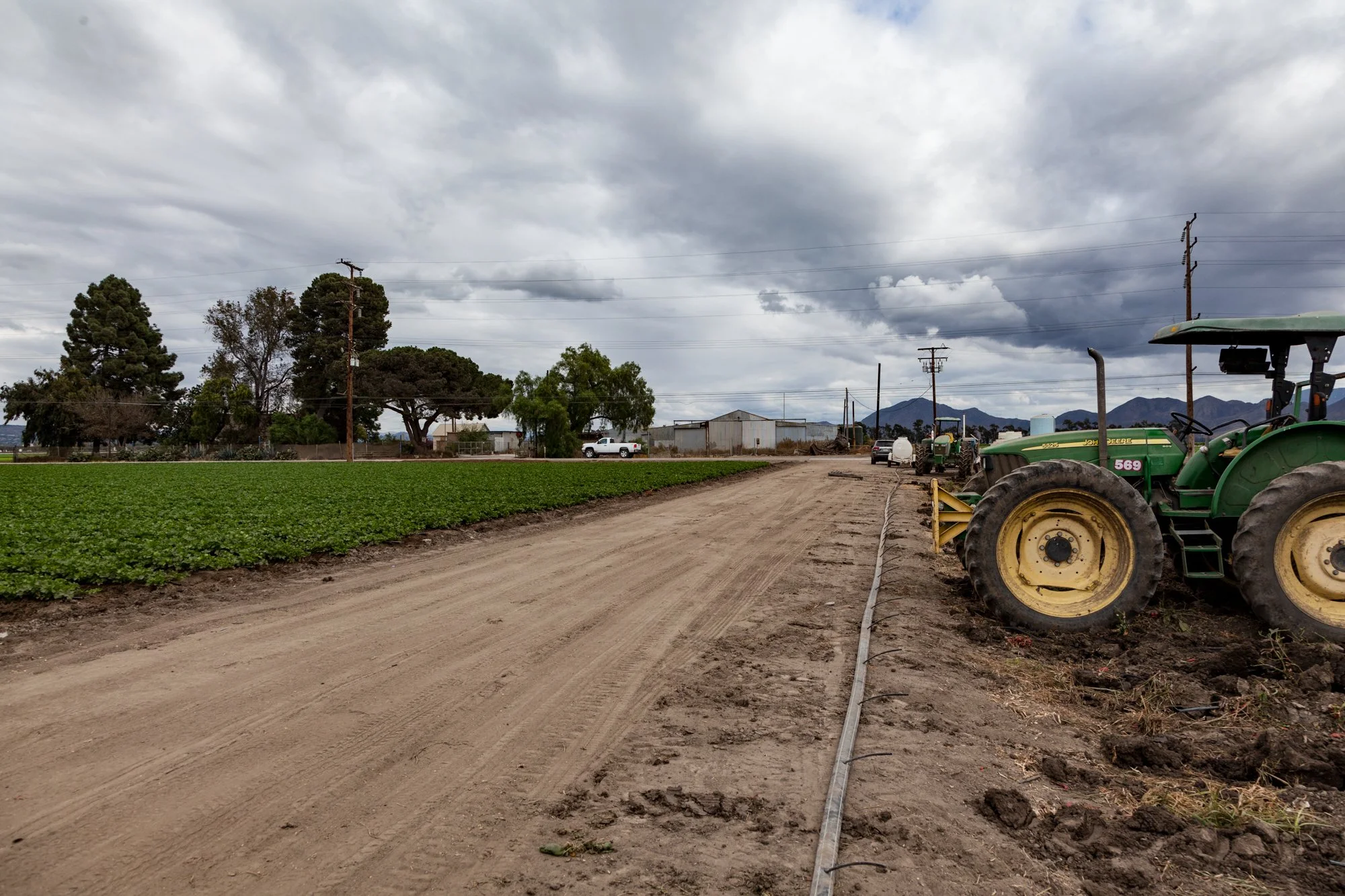 Farm- Uesugi Farms - Camarillo - 13.jpg
