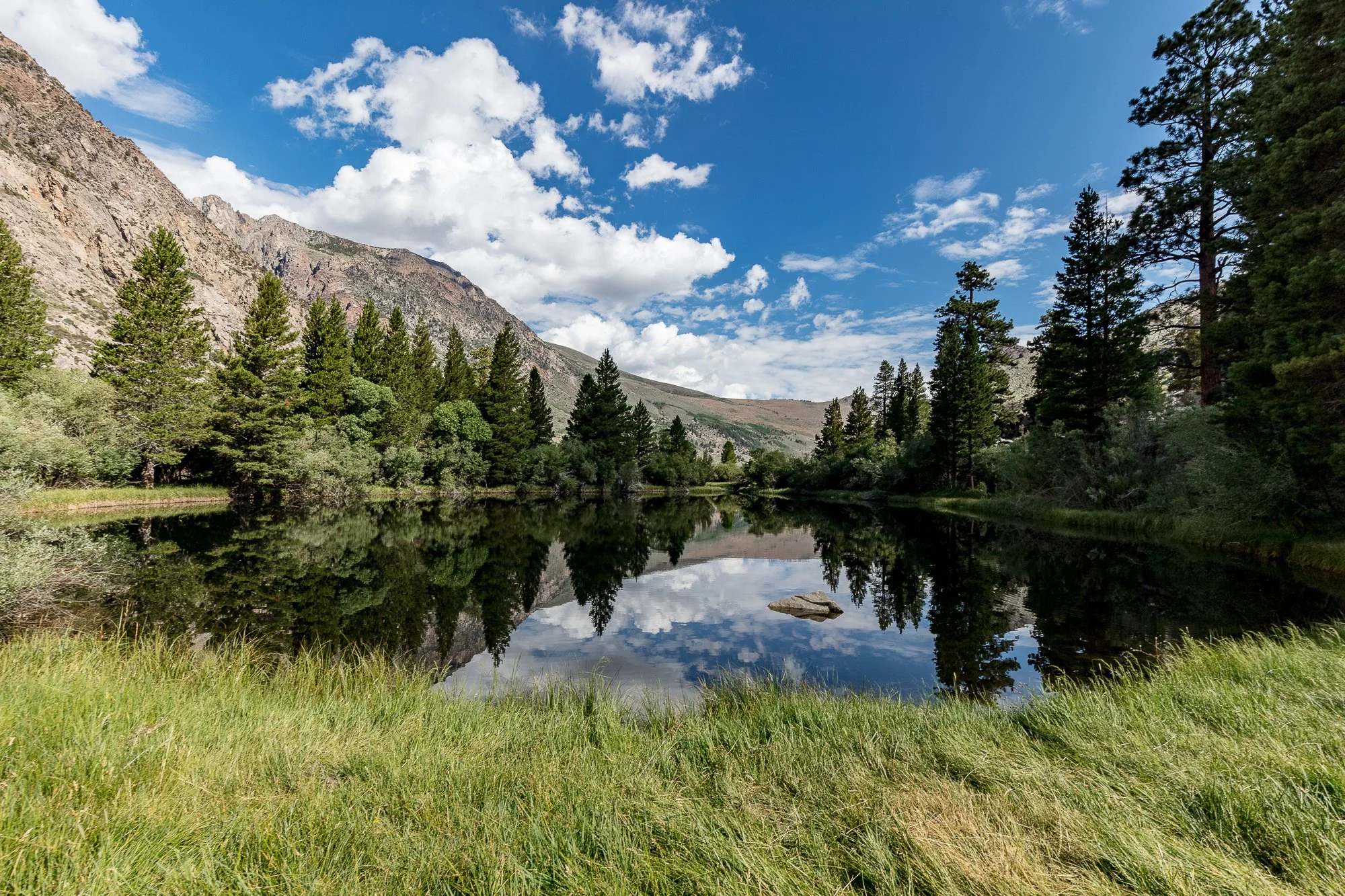 Blacks Pond - Meadow & Rock Outcrop - June Lake -23.jpg