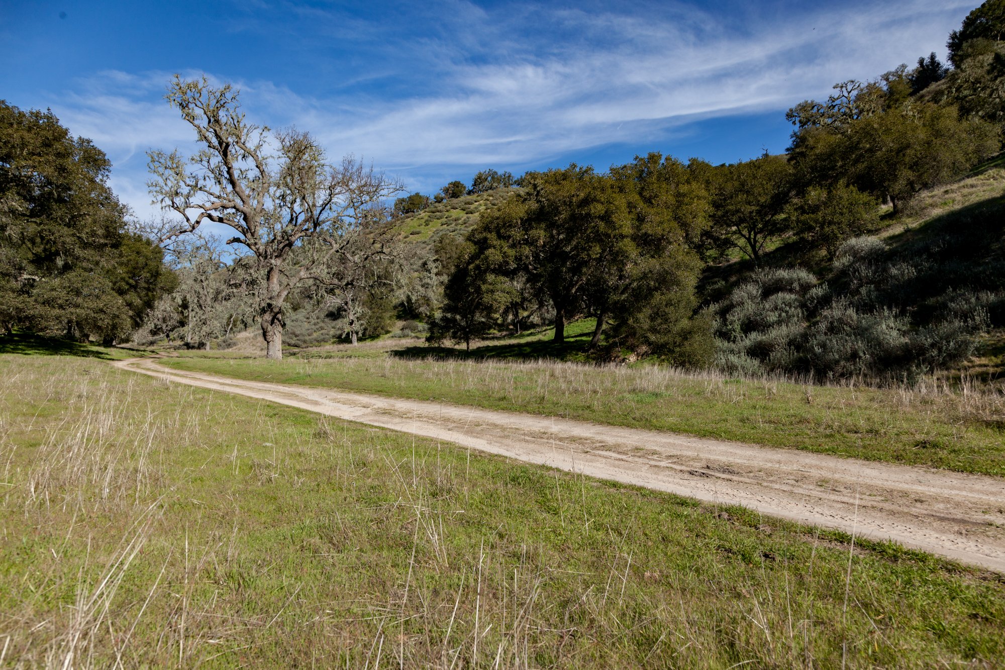 Rnch- Porter Ranch - Santa Maria - 45.jpg