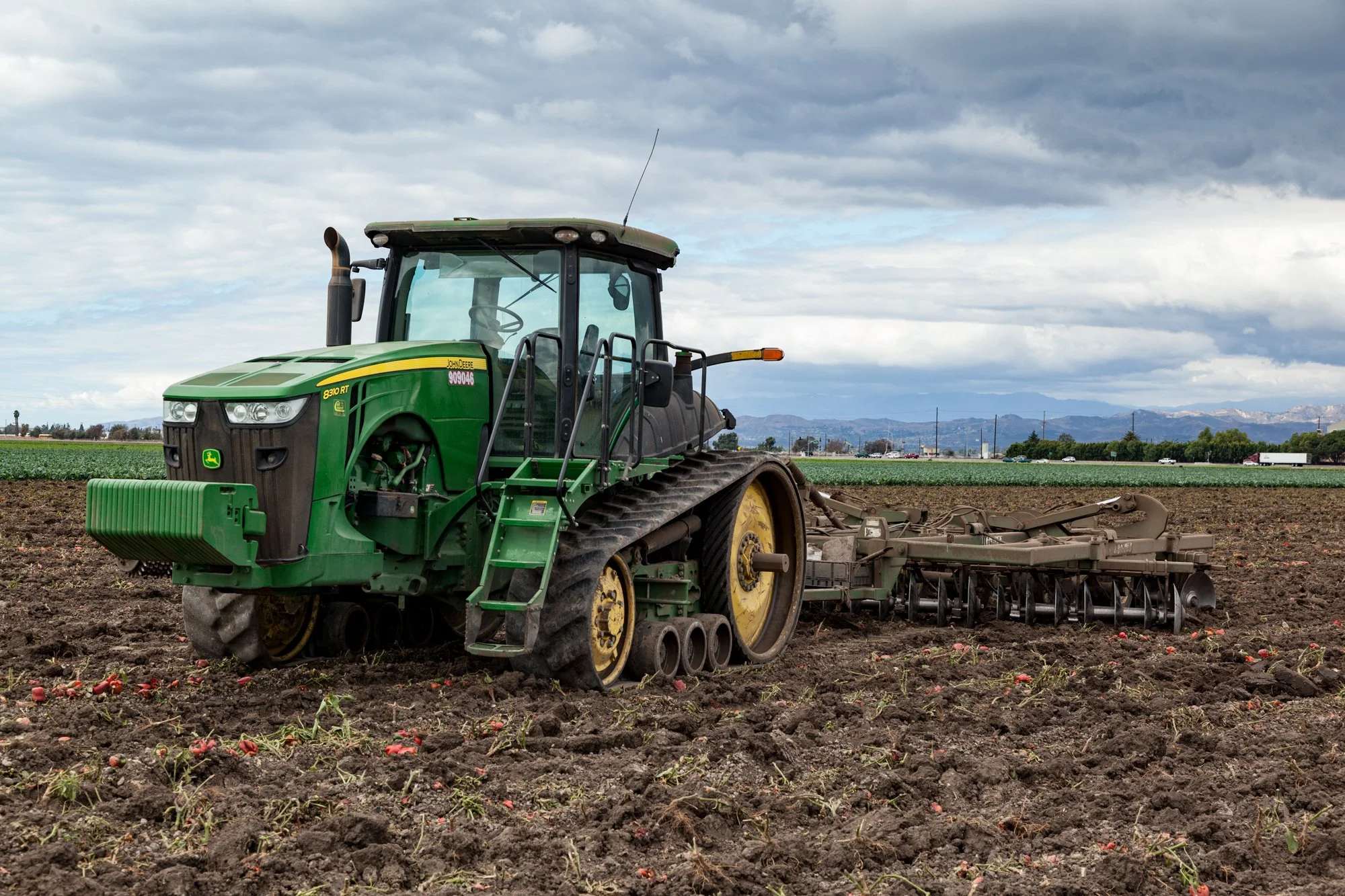 Farm- Uesugi Farms - Camarillo - 25.jpg