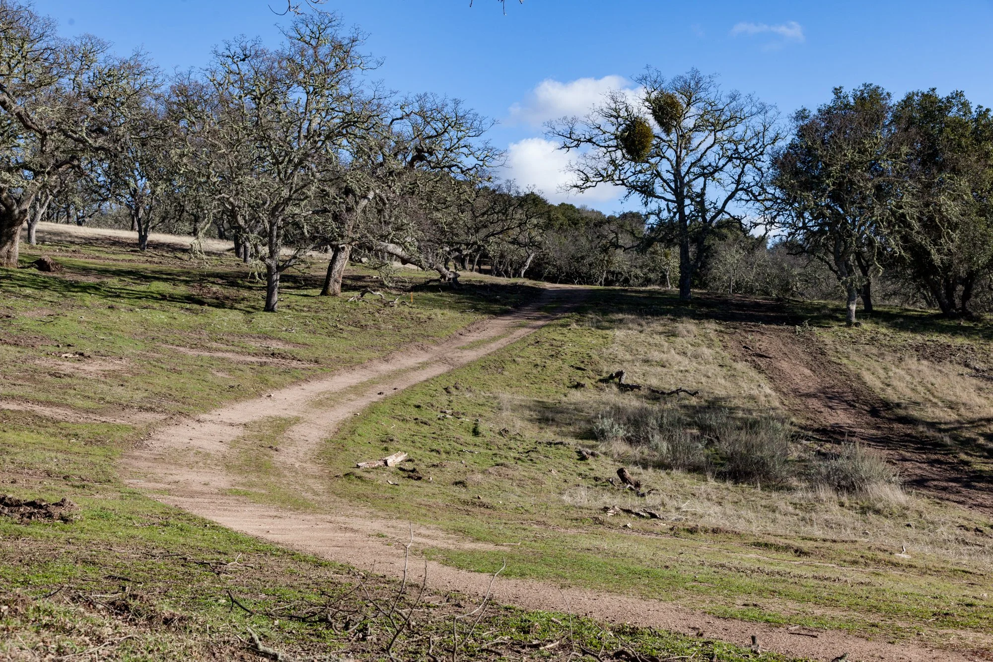 Rnch- Galante Ranch & Vineyards - Carmel Valley - 20.jpg