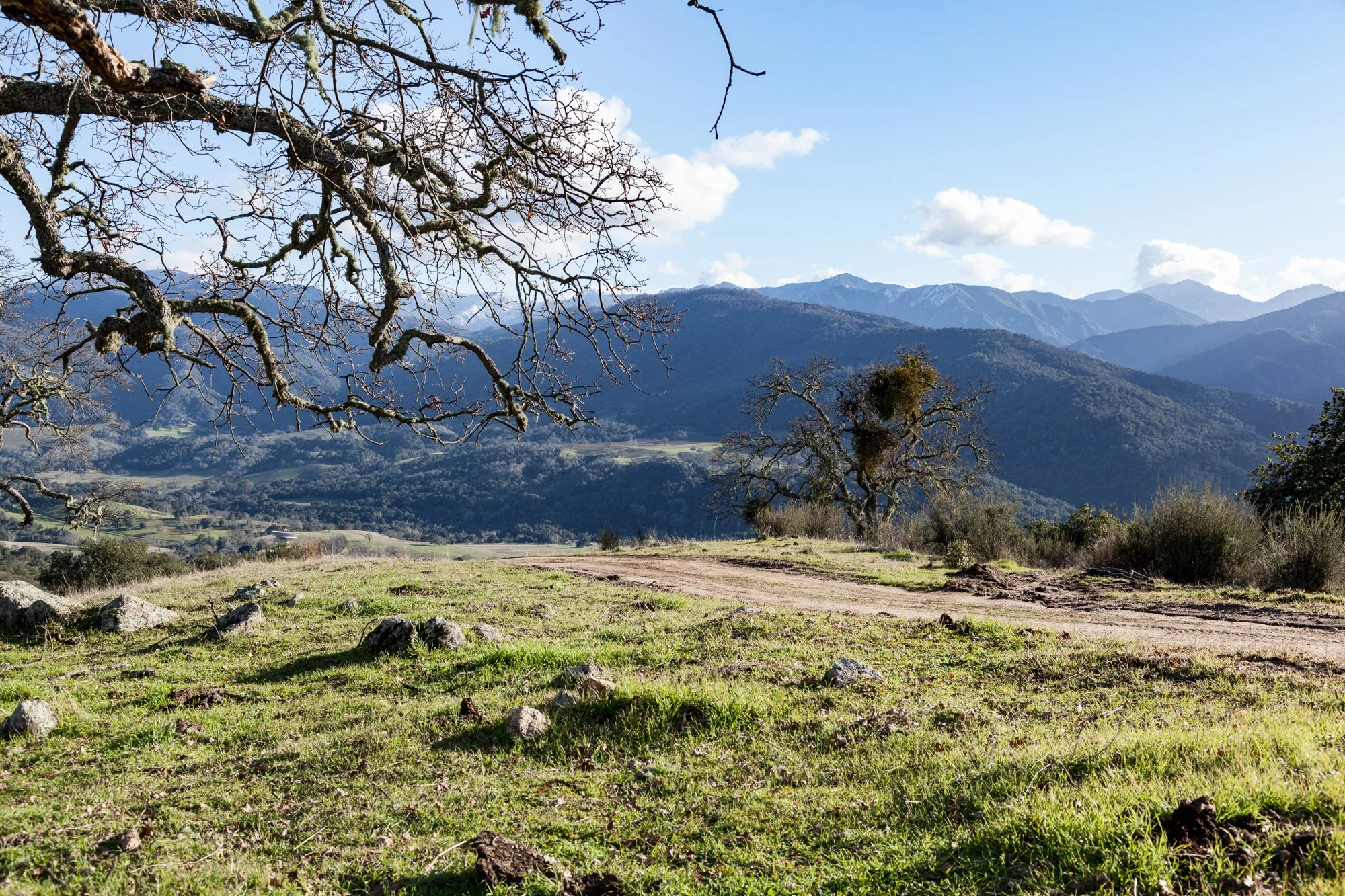 Rnch- Galante Ranch & Vineyards - Carmel Valley - 40.jpg