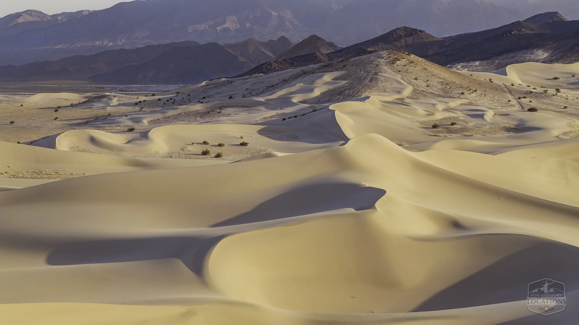 Dumont Dunes - Drone - 062325 -30.jpg