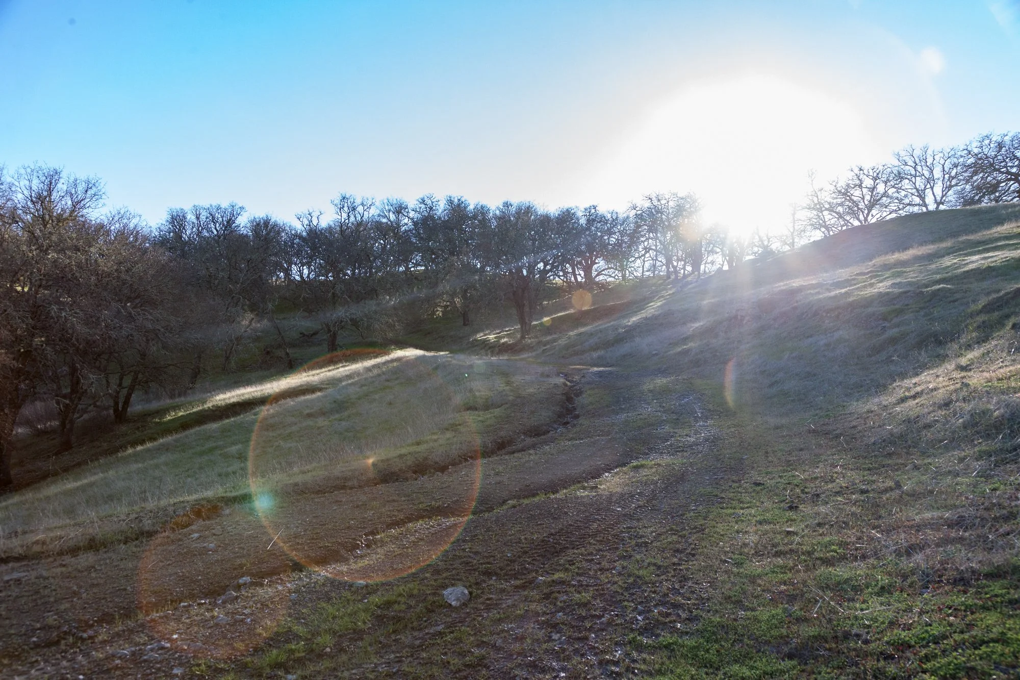 Rnch- Santa Margarita Ranch - 99.jpg