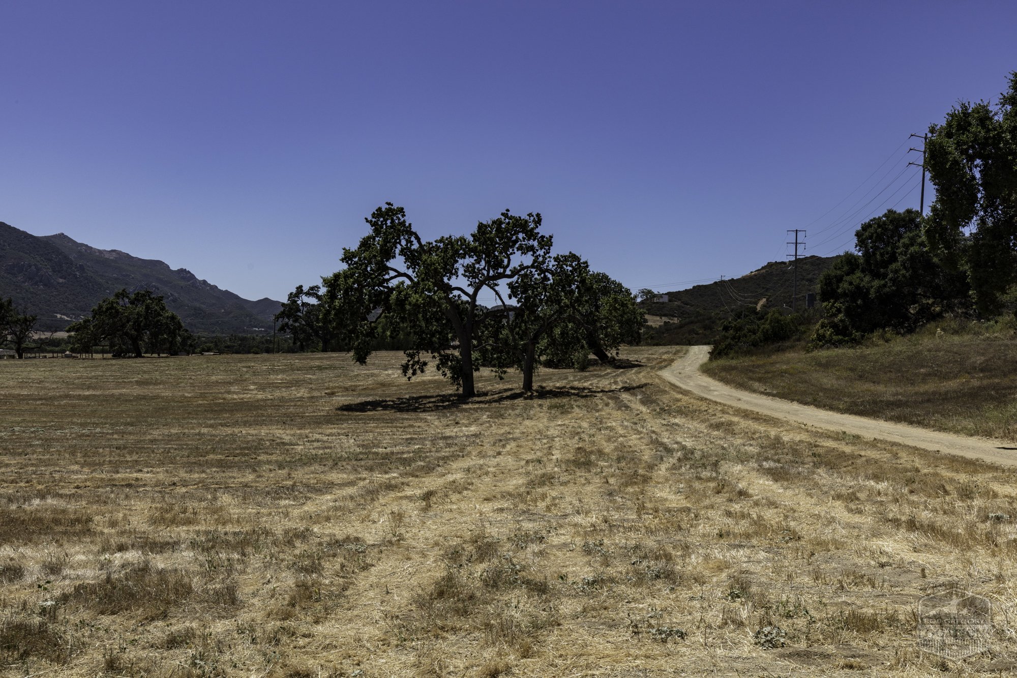 Thorton Ranch Pasture - Ventura Farms -10.jpg