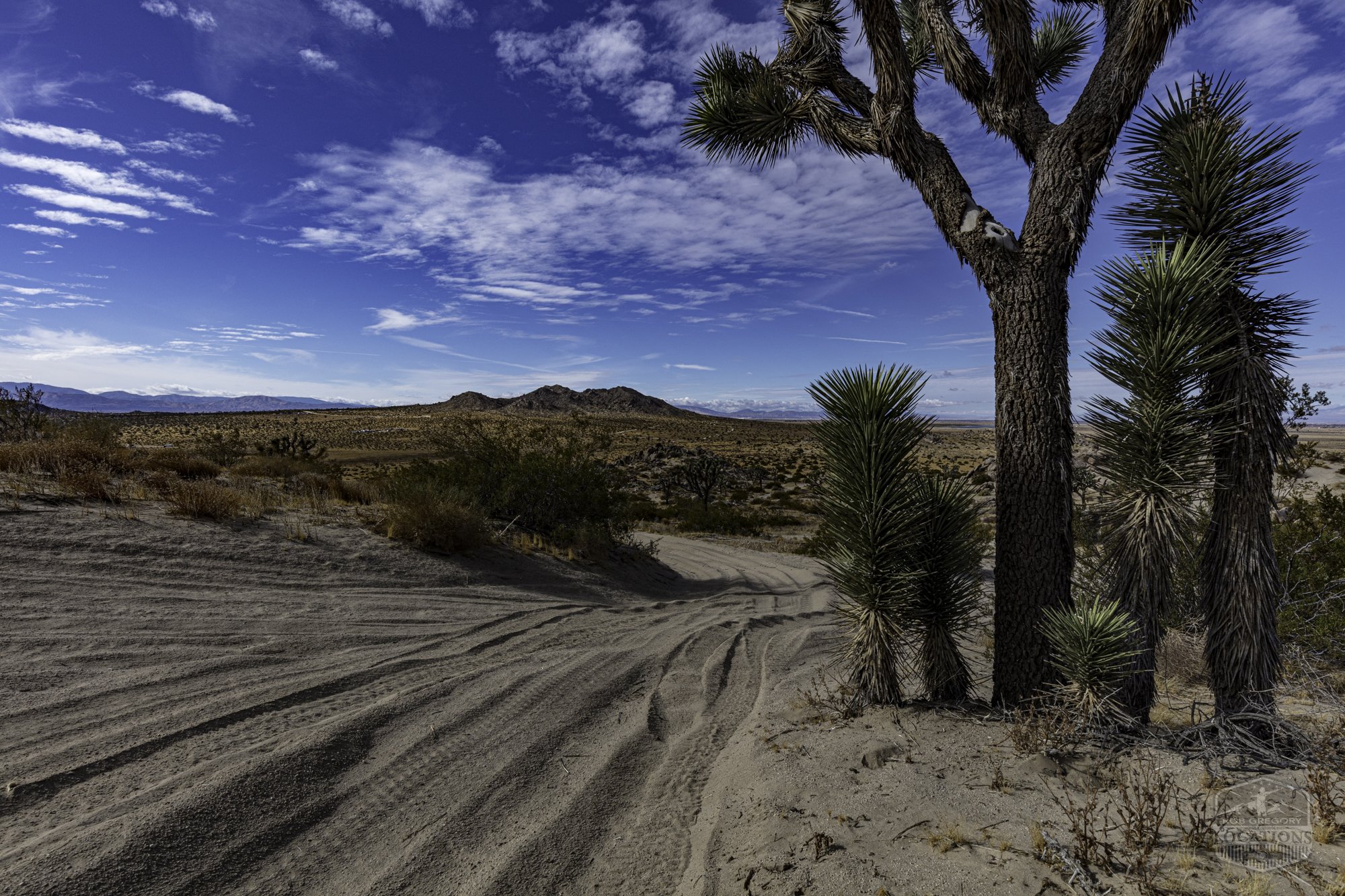Rocky Buttes - Lancaster - 112424 -037.jpg