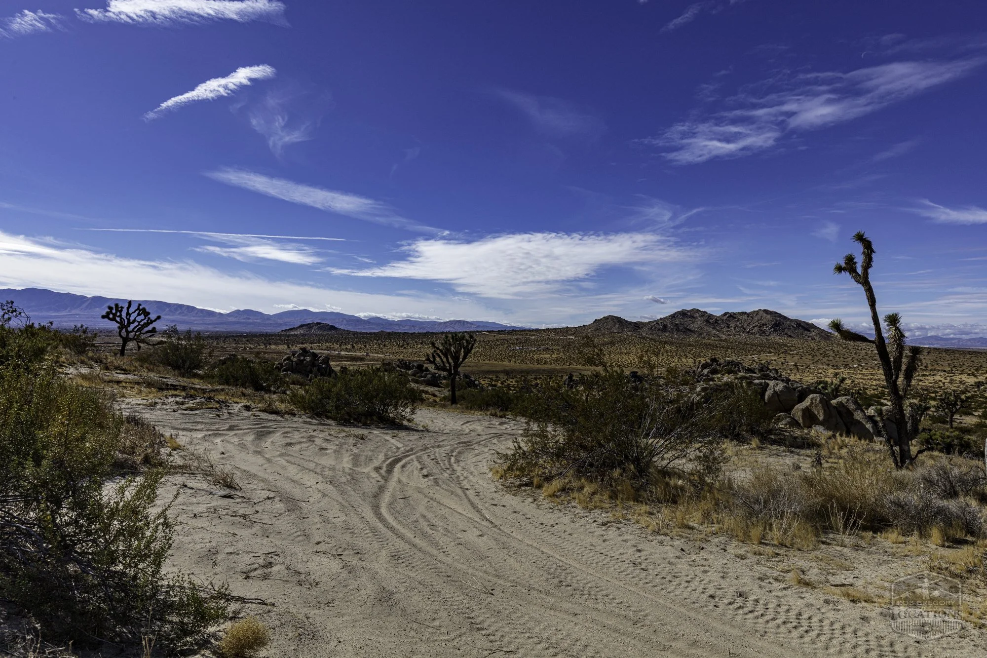 Rocky Buttes - Lancaster - 112424 -042.jpg