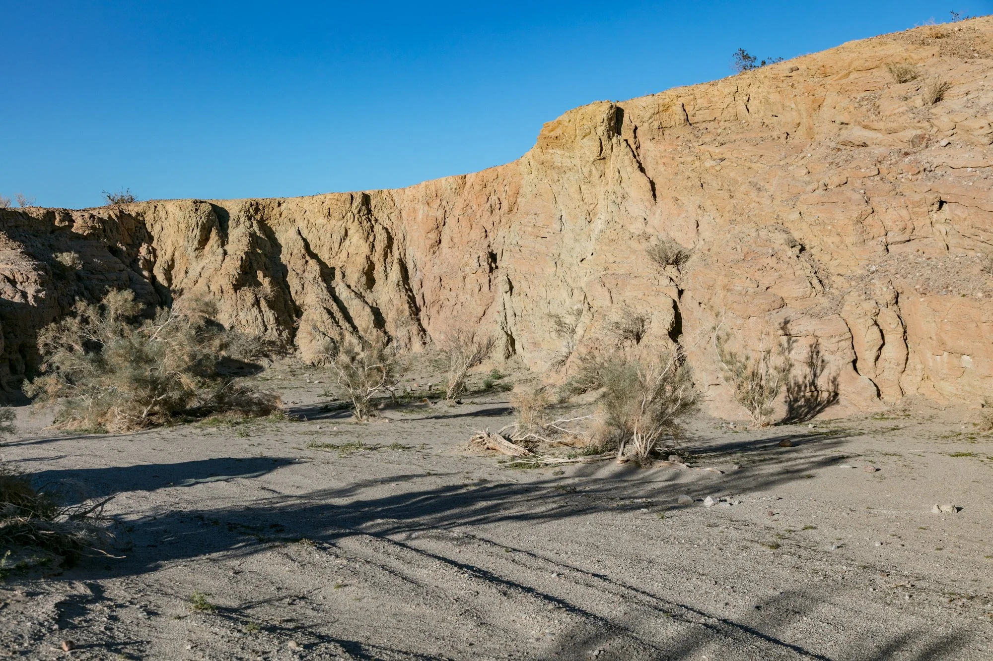 Ntr- Anza Borrego - Badlands - 0219 -62.jpg