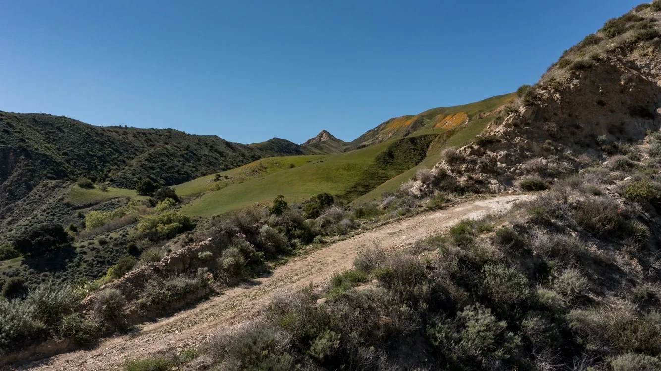 Rancho Temescal - West Ridge - Piru -11.jpg