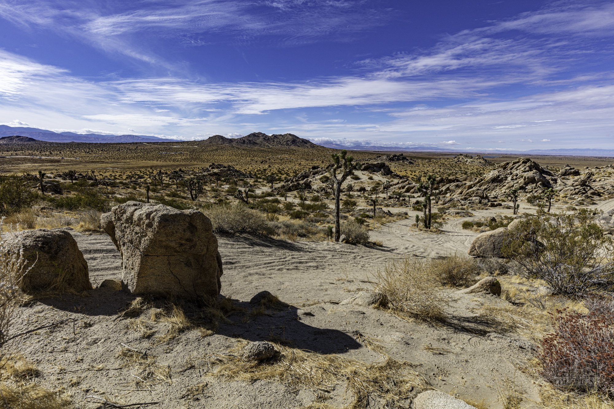 Rocky Buttes - Lancaster - 112424 -045.jpg