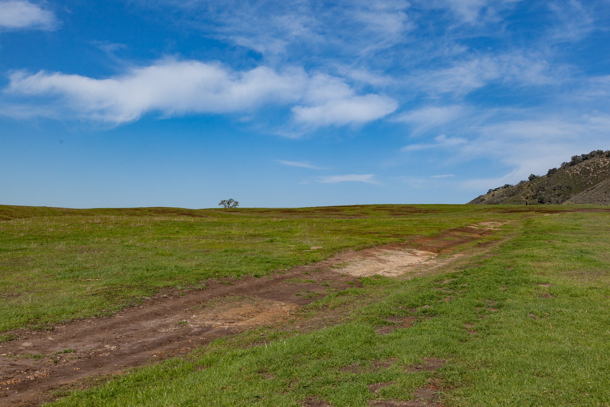 Rnch- Porter Ranch - Santa Maria - 26.jpg