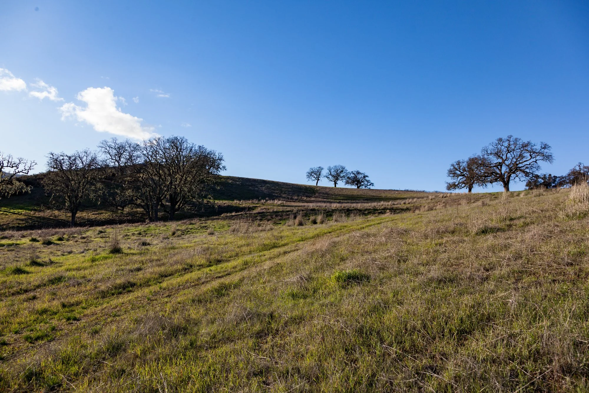 Rnch- Galante Ranch & Vineyards - Carmel Valley - 65.jpg