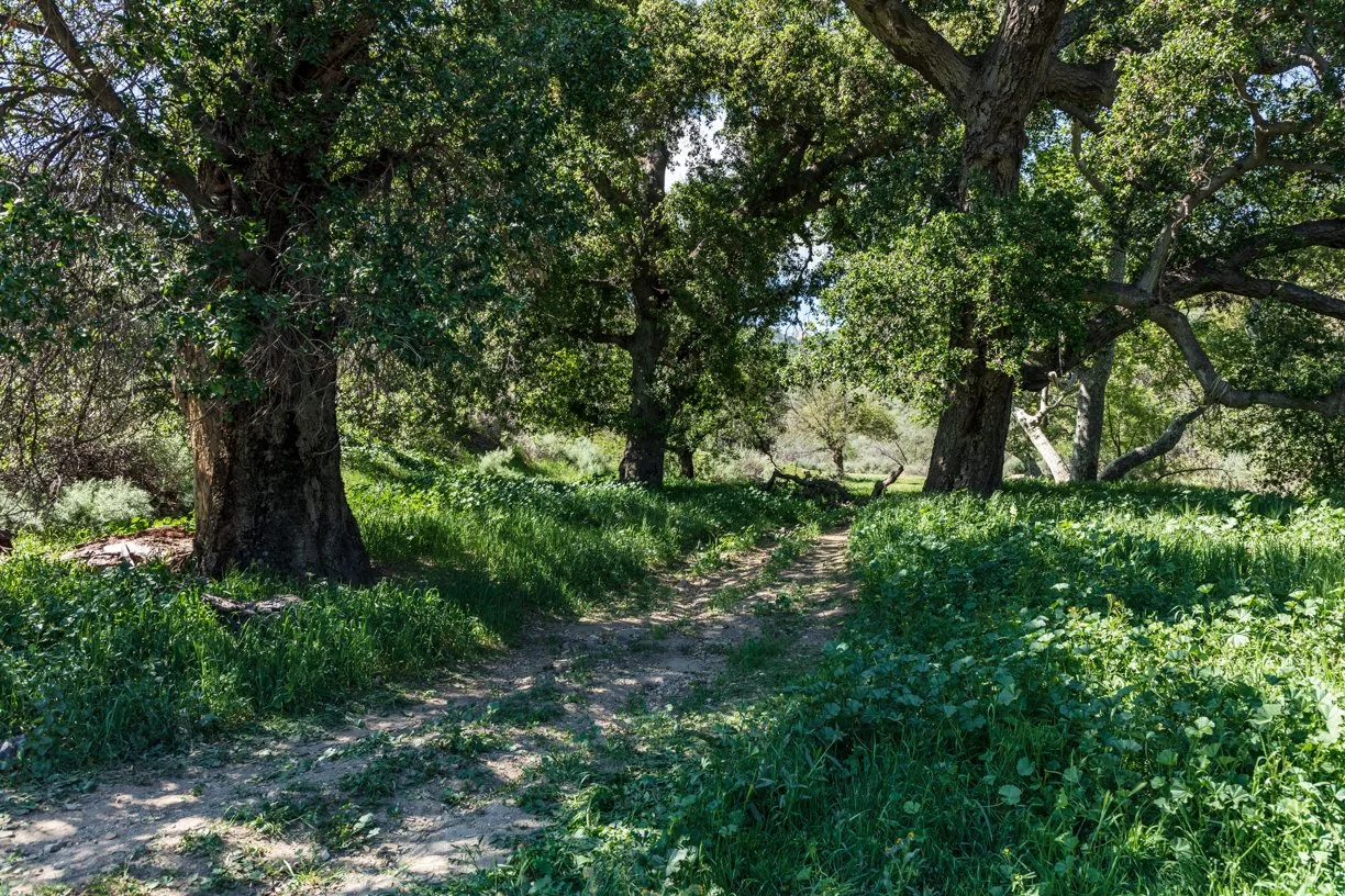 Rancho Temescal - Lower Oil Field Rd - Mtn Bike - Piru -11.jpg