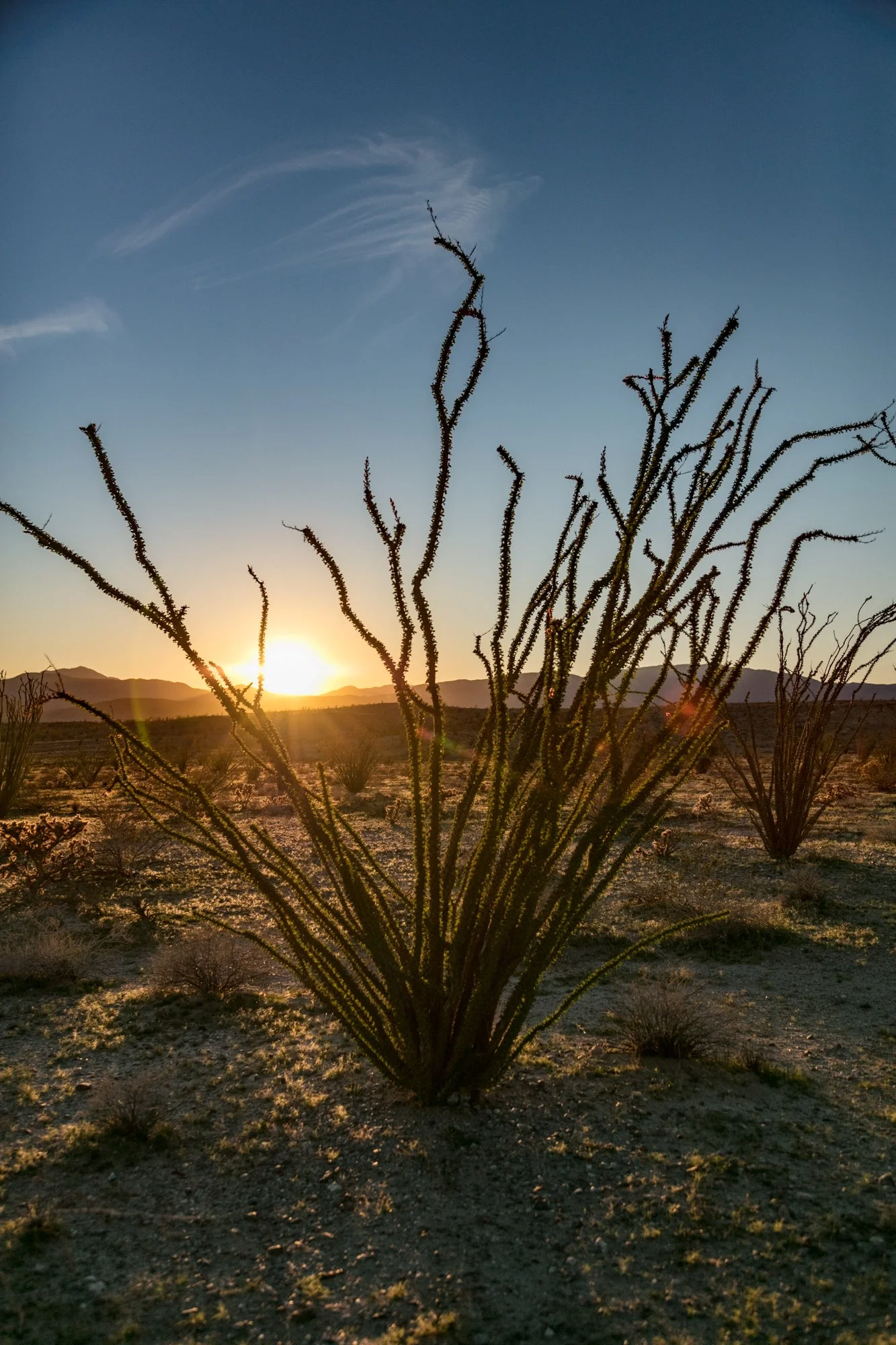 Ntr- Anza Borrego - Badlands - 0219 -123.jpg