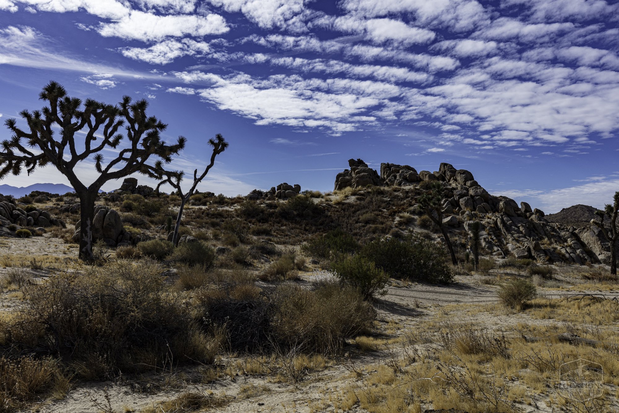 Rocky Buttes - Lancaster - 112424 -021.jpg