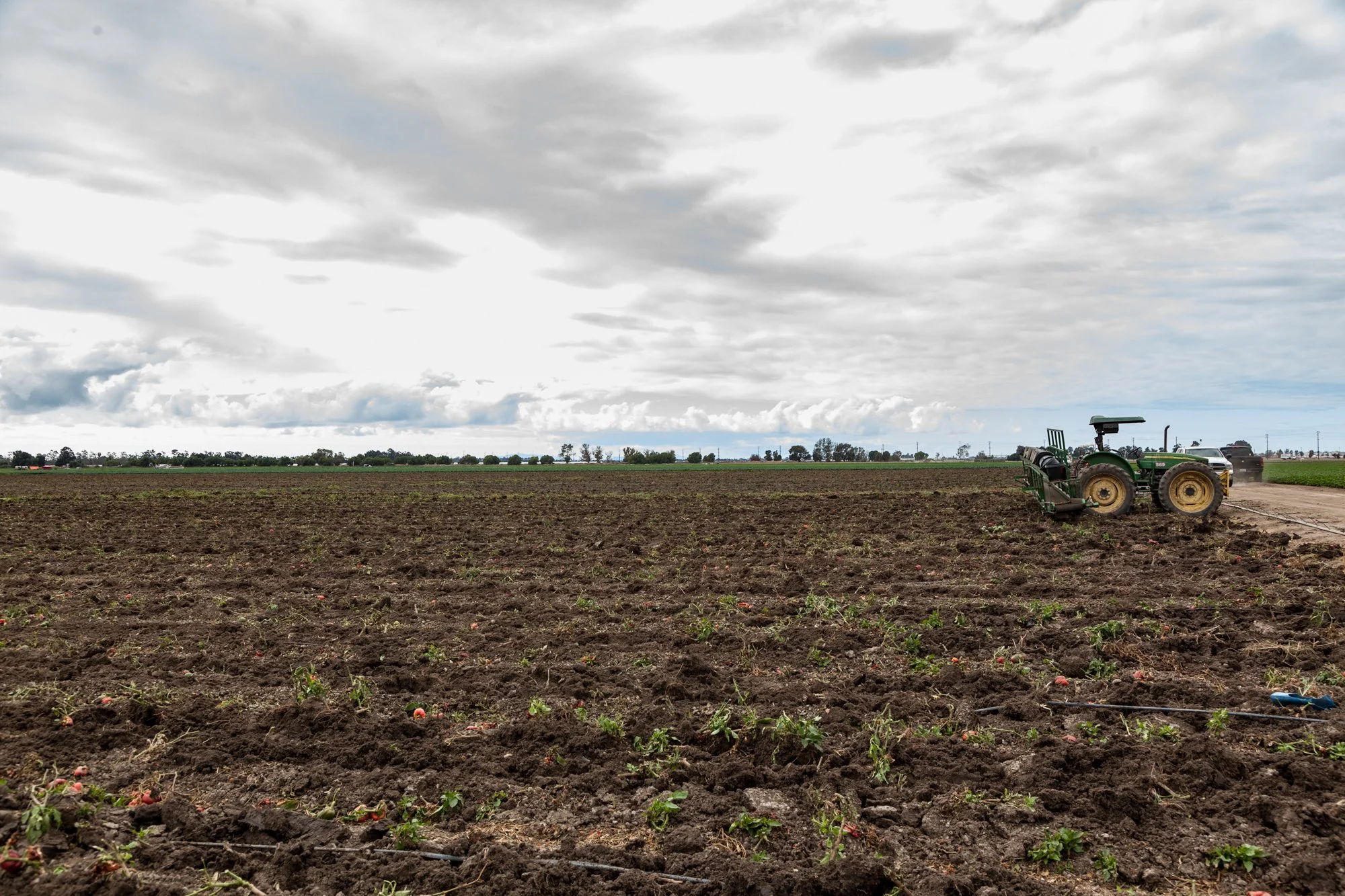 Farm- Uesugi Farms - Camarillo - 7.jpg