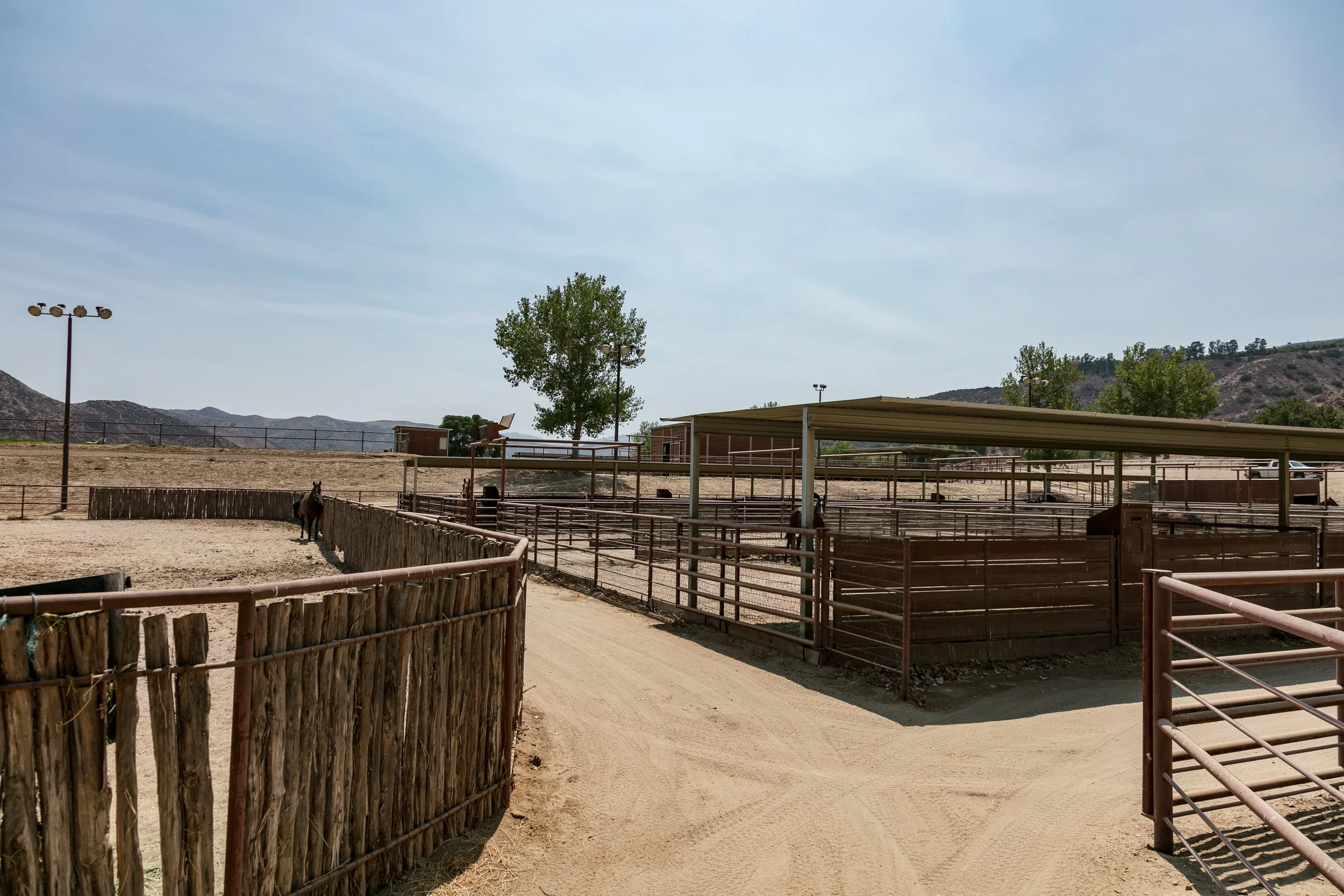 Rancho Temescal - Cattle Ranch - Piru -65.jpg