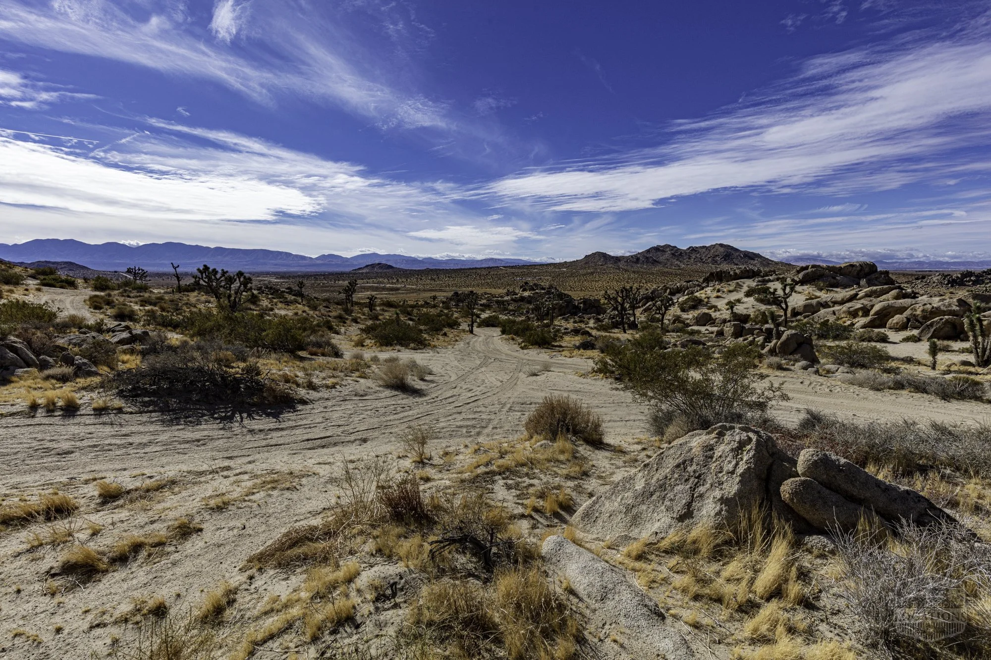 Rocky Buttes - Lancaster - 112424 -046.jpg