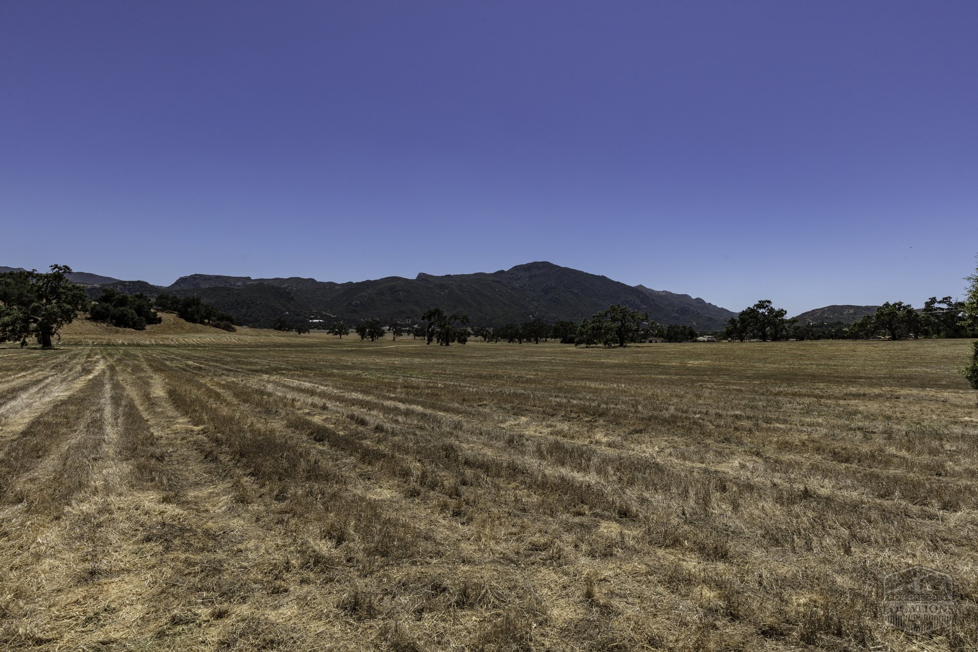 Thorton Ranch Pasture - Ventura Farms -3.jpg