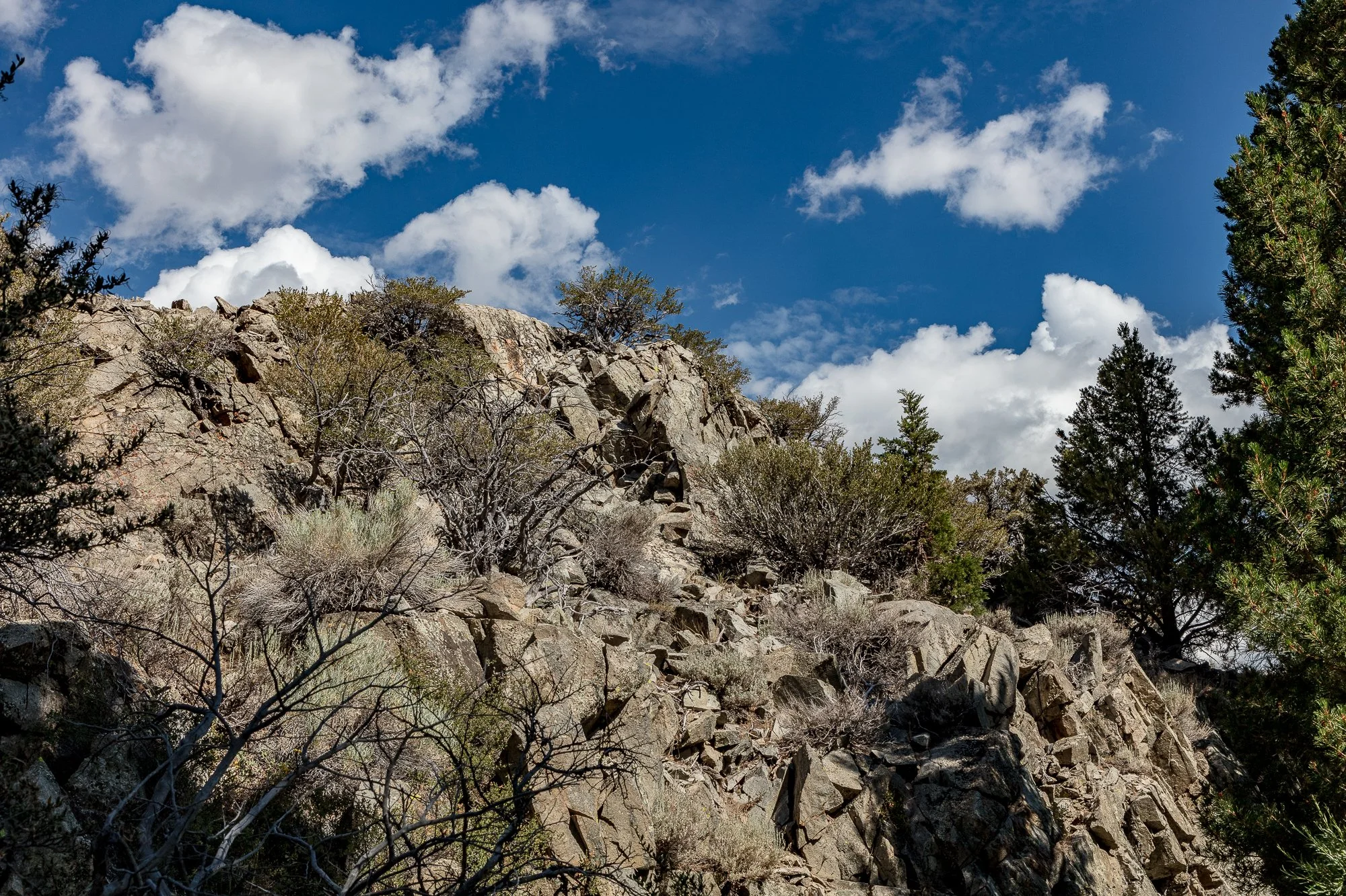 Blacks Pond - Meadow & Rock Outcrop - June Lake -11.jpg