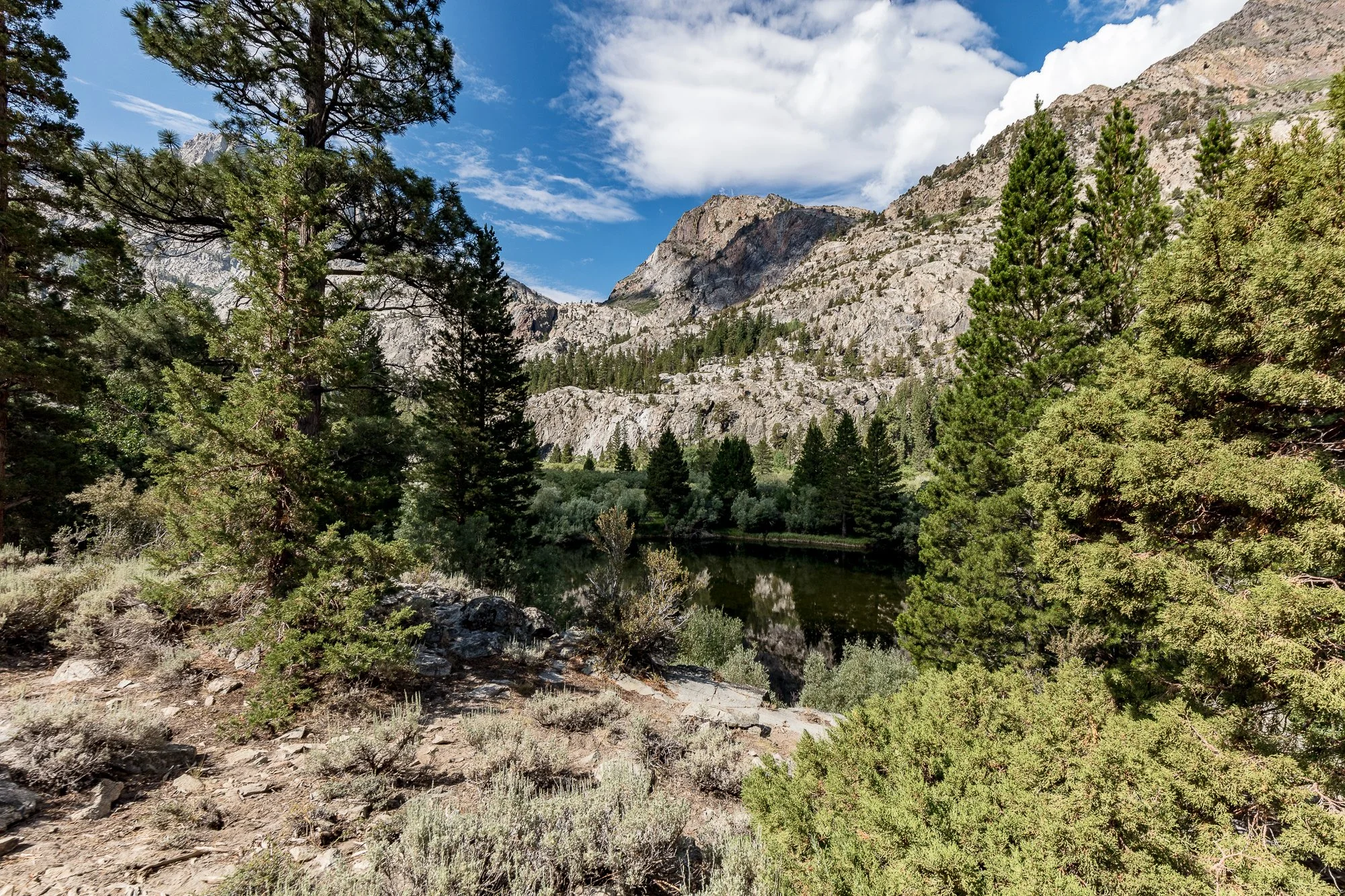 Blacks Pond - Meadow & Rock Outcrop - June Lake -32.jpg