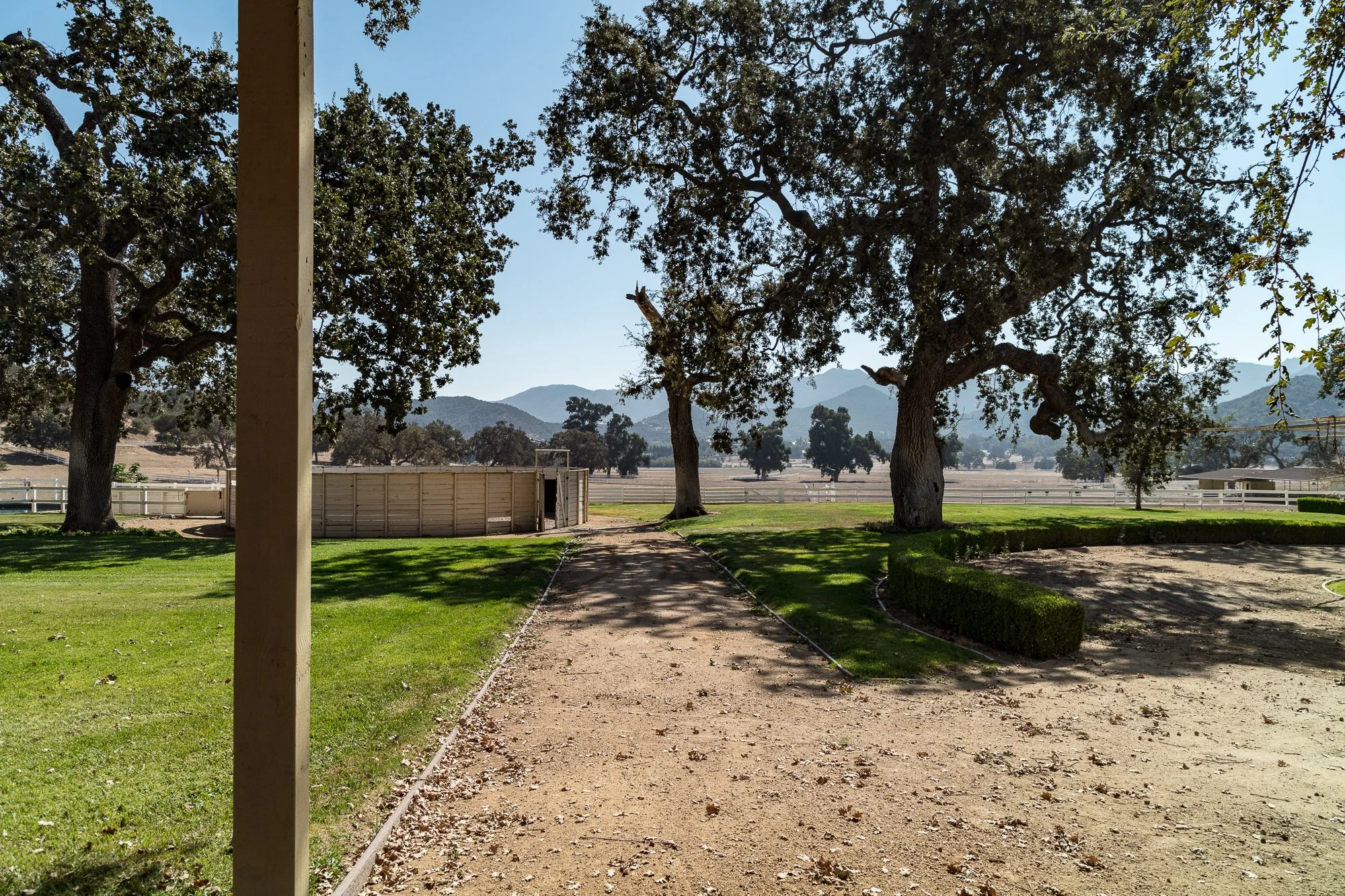 Ventura Farms - Arabian Center -23.jpg