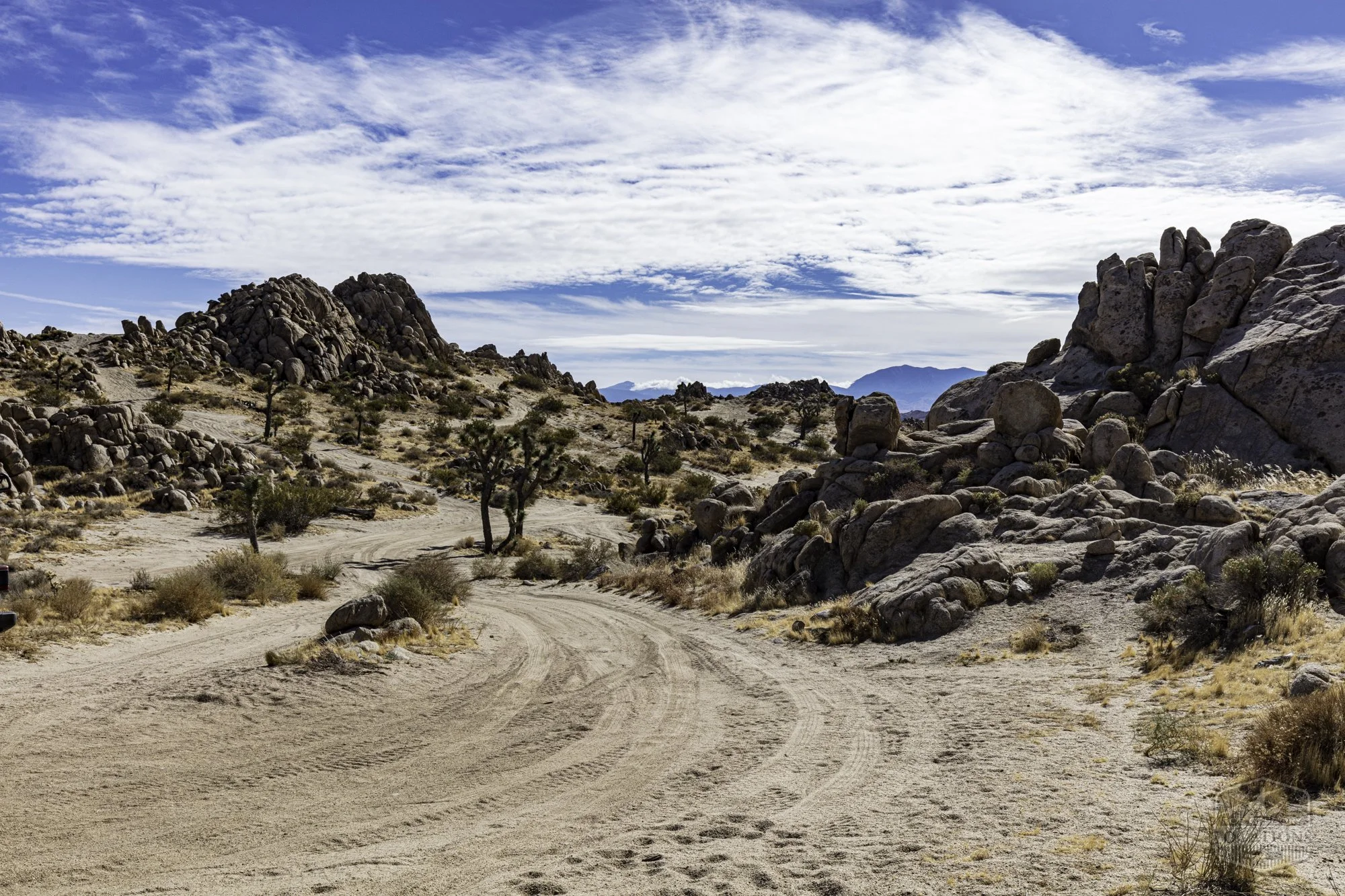 Rocky Buttes - Lancaster - 112424 -050.jpg