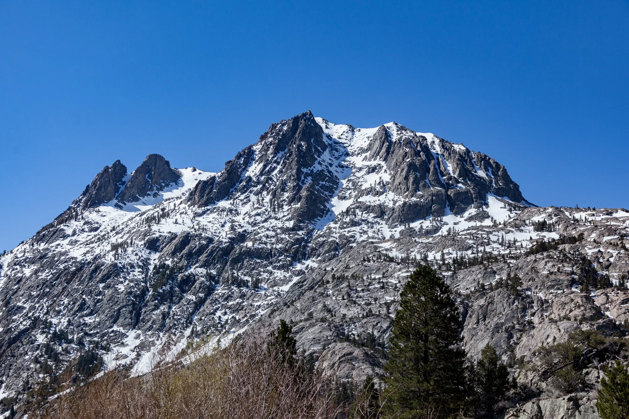 Ntr- Blacks Pond & Meadow - June Lake -6.jpg