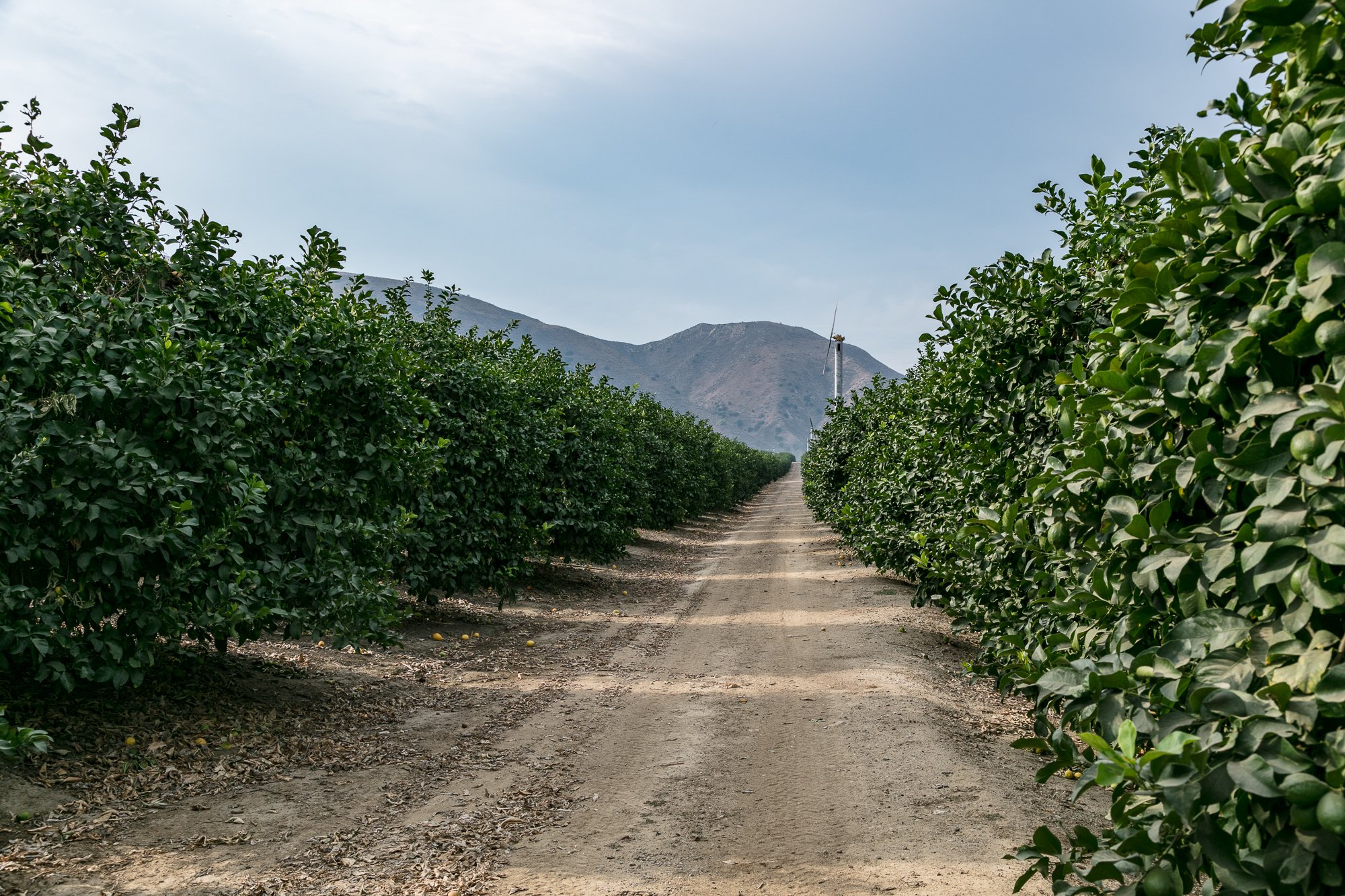 Rancho Temescal - Ranch Roads - Piru -1.jpg