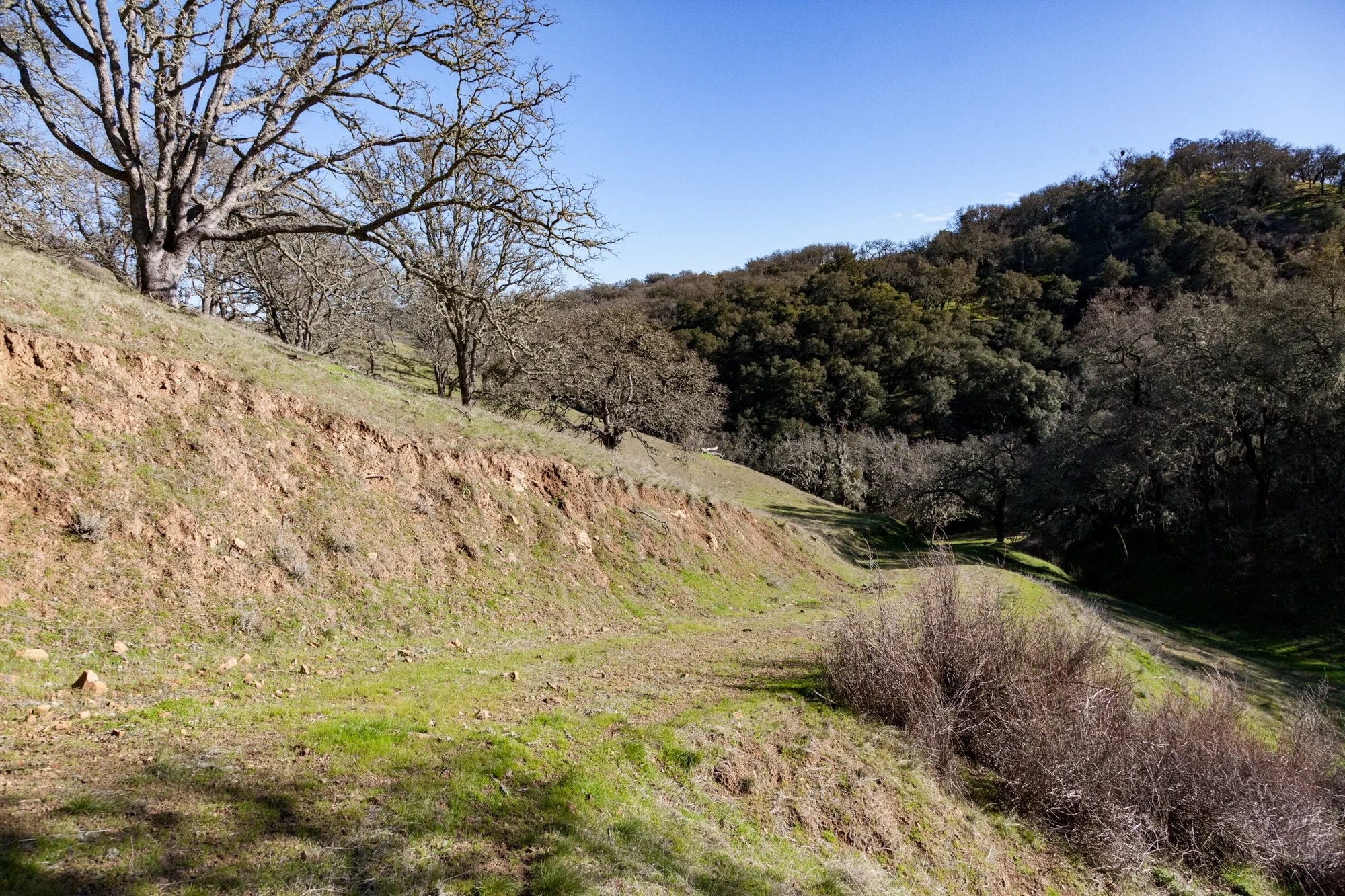Rnch- Santa Margarita Ranch - 43.jpg