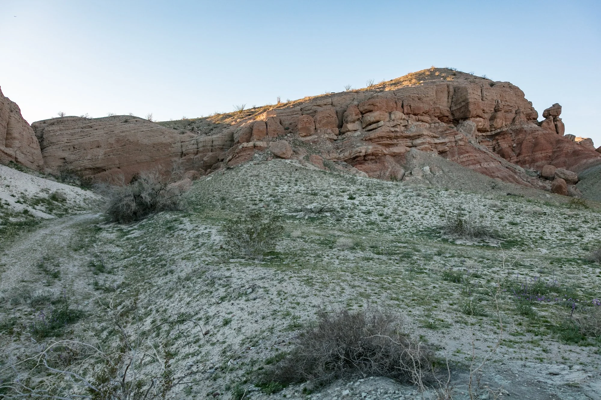 Ntr- Anza Borrego - Badlands - 0219 -92.jpg