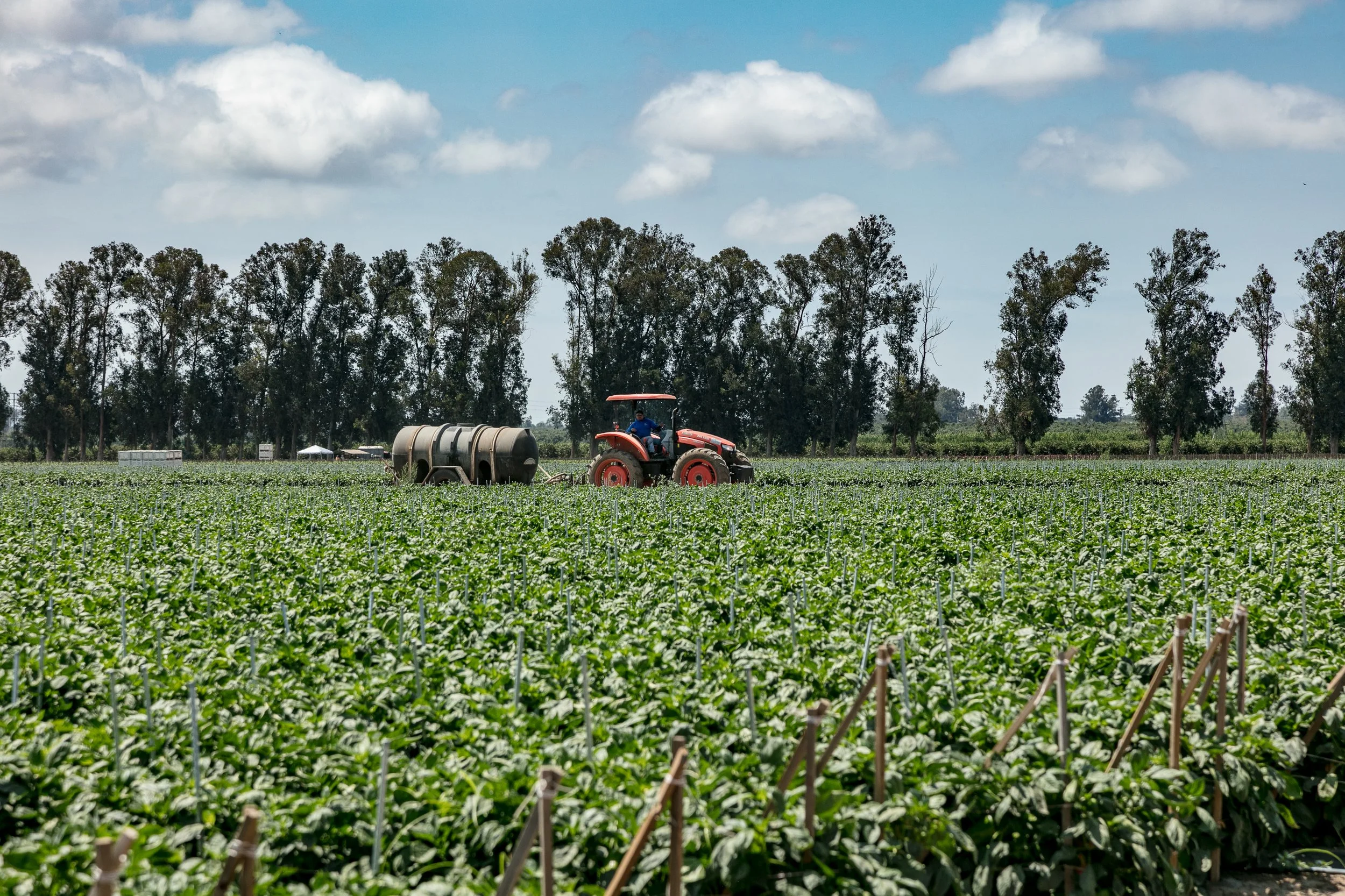 Limoneira Farms - Santa Paula -13.jpg